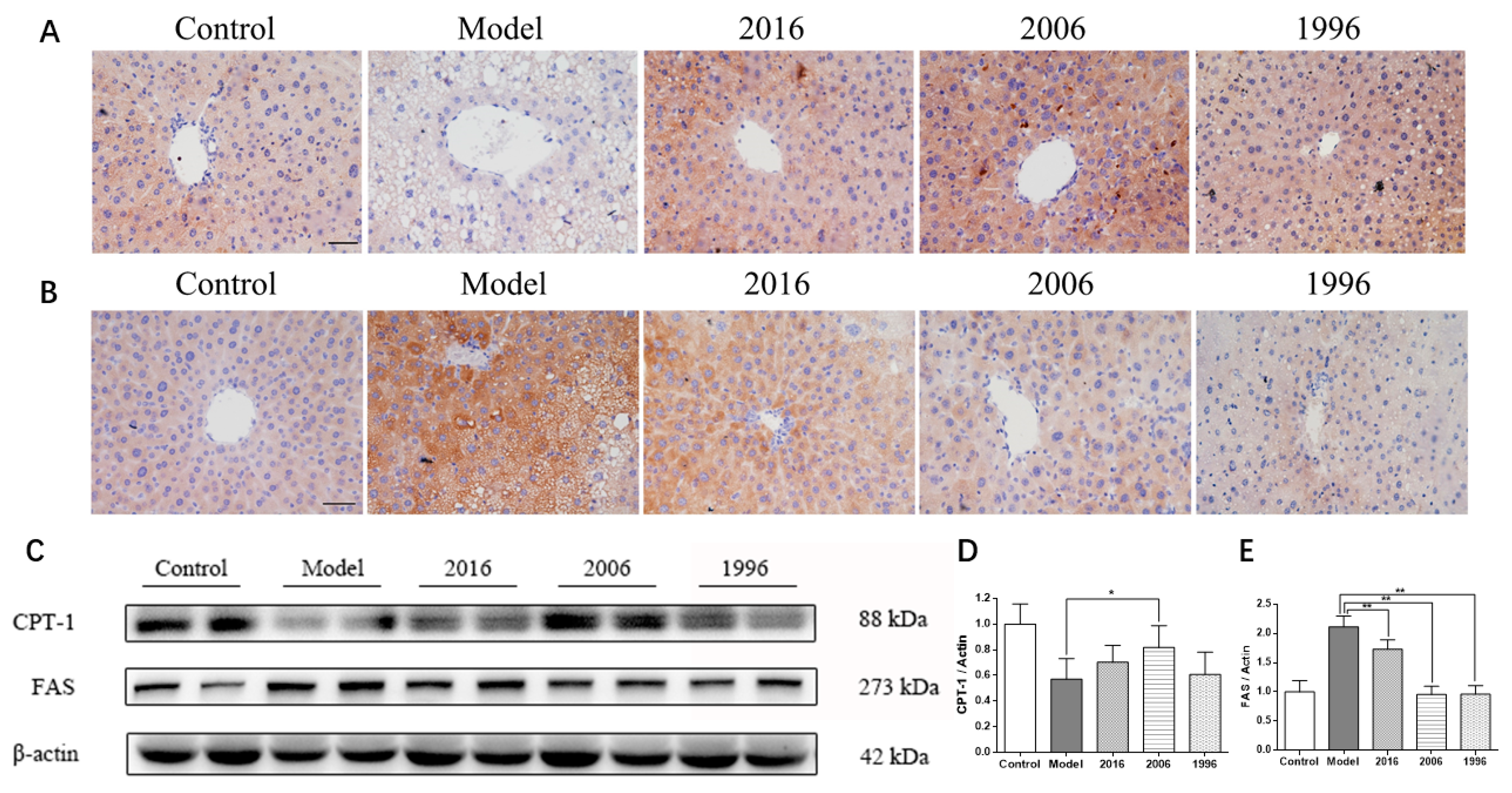 Nutrients 10 00187 g005