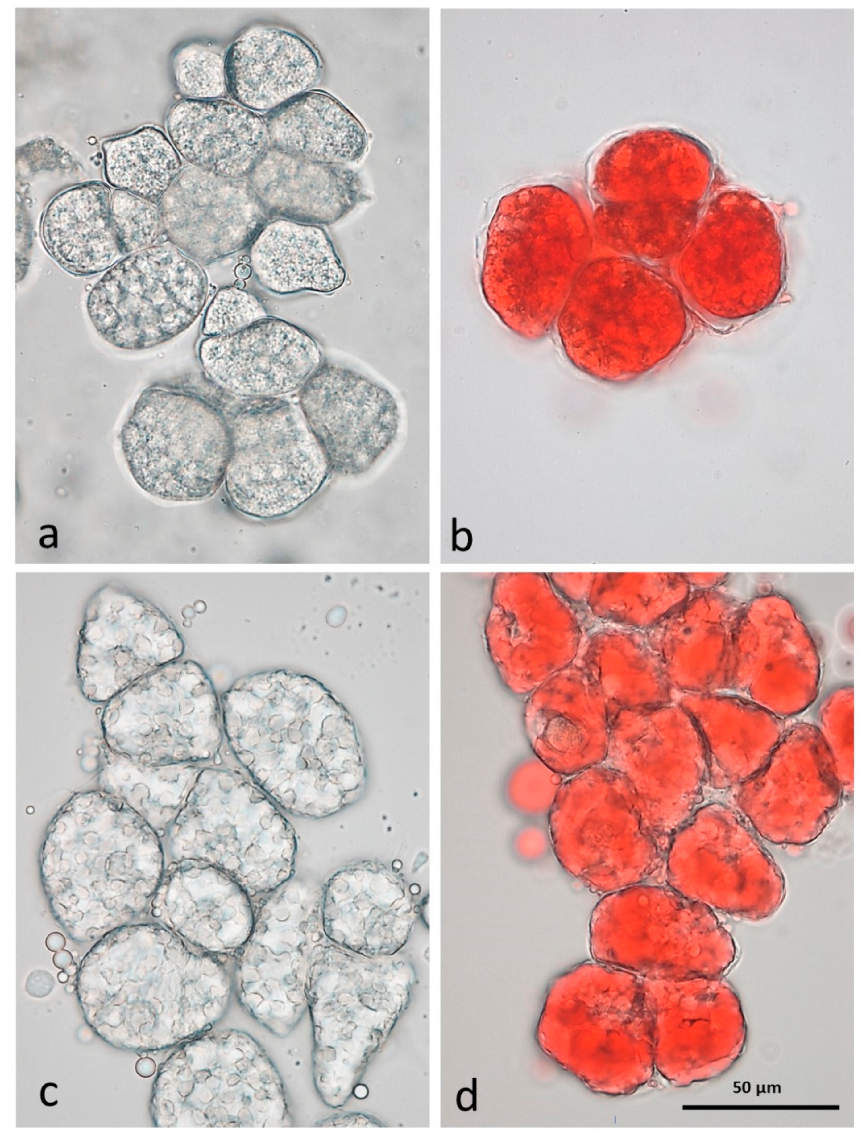 Nutrients 10 00213 g002