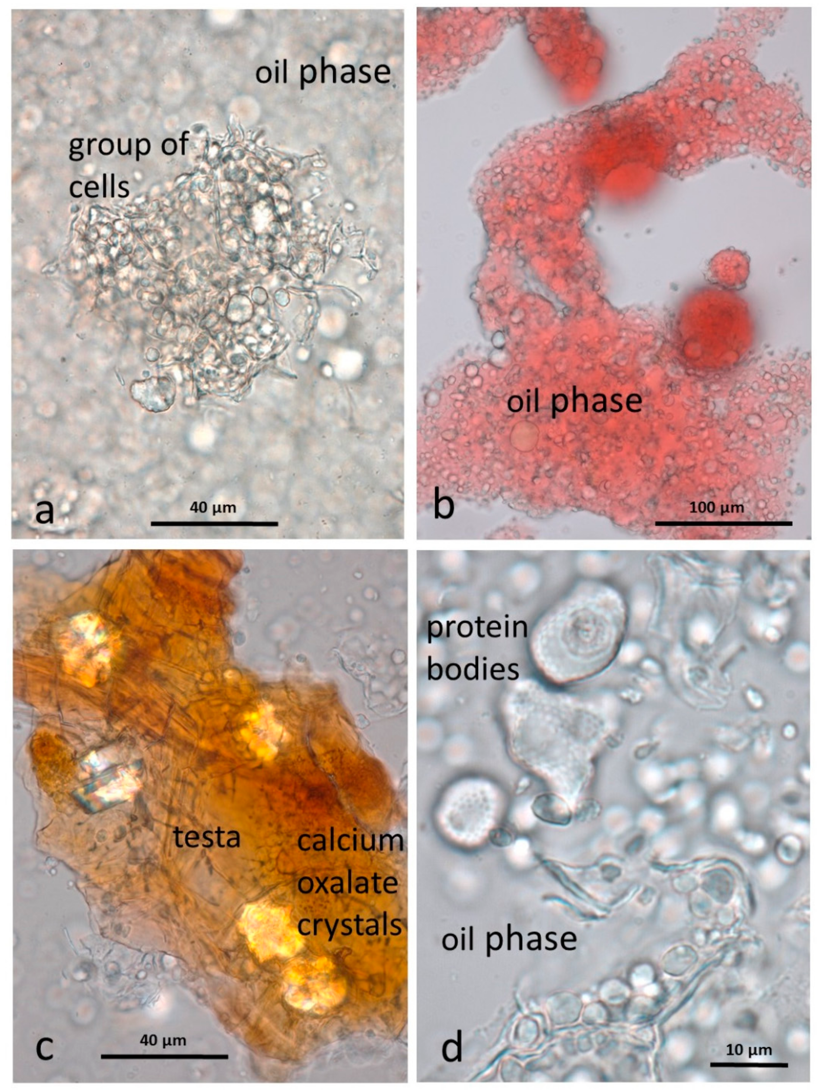 Nutrients 10 00213 g003
