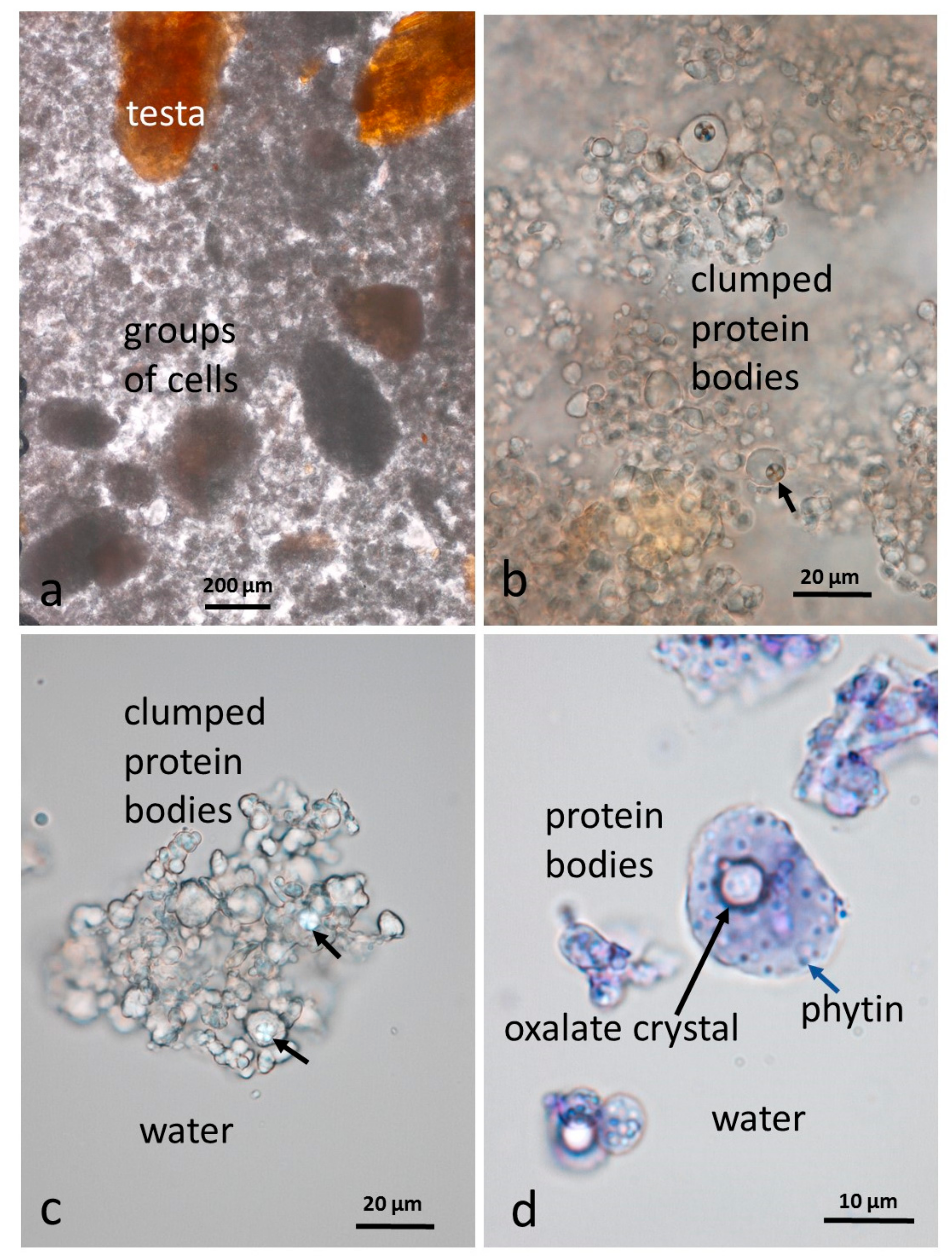Nutrients 10 00213 g004