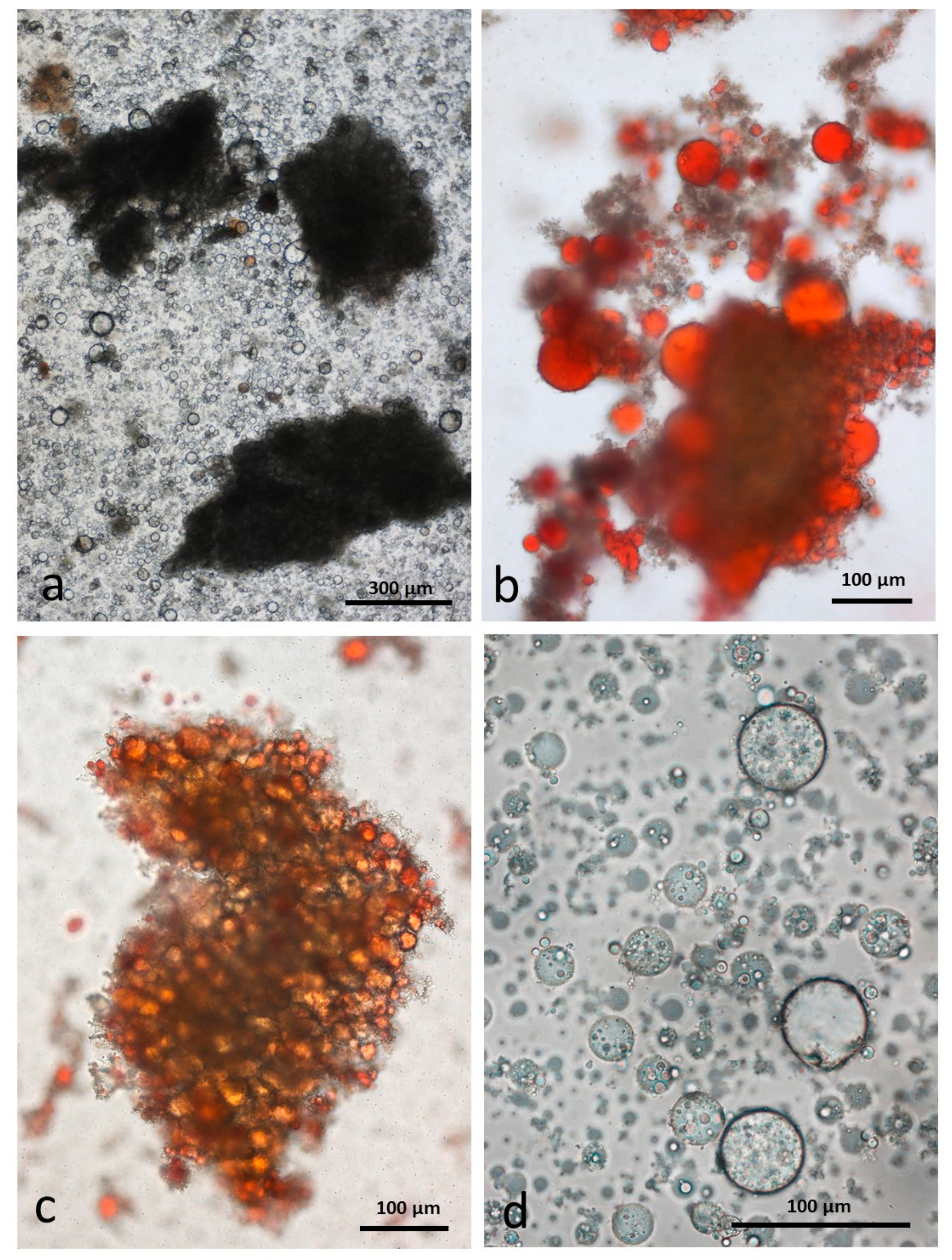 Nutrients 10 00213 g006