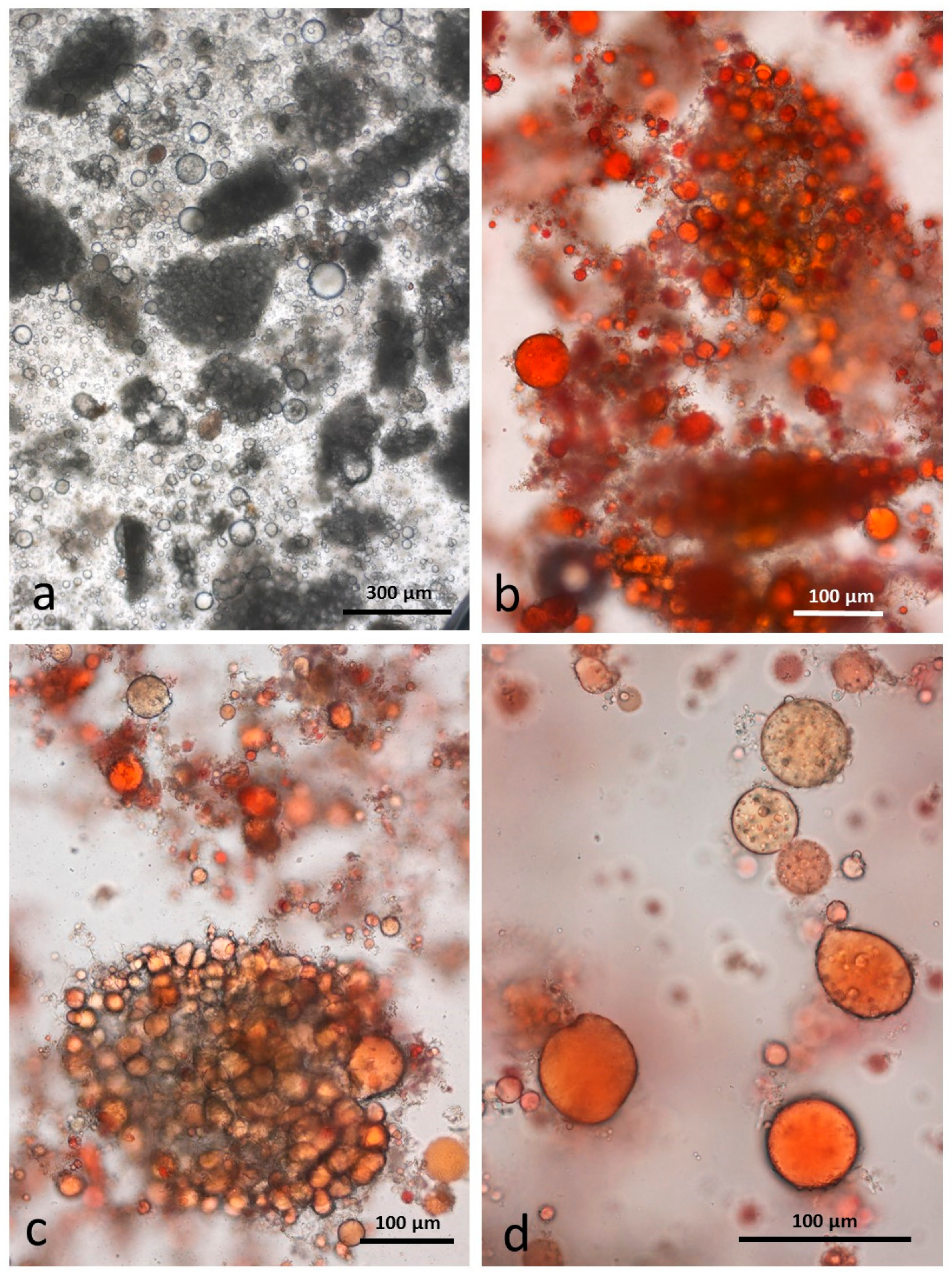 Nutrients 10 00213 g007