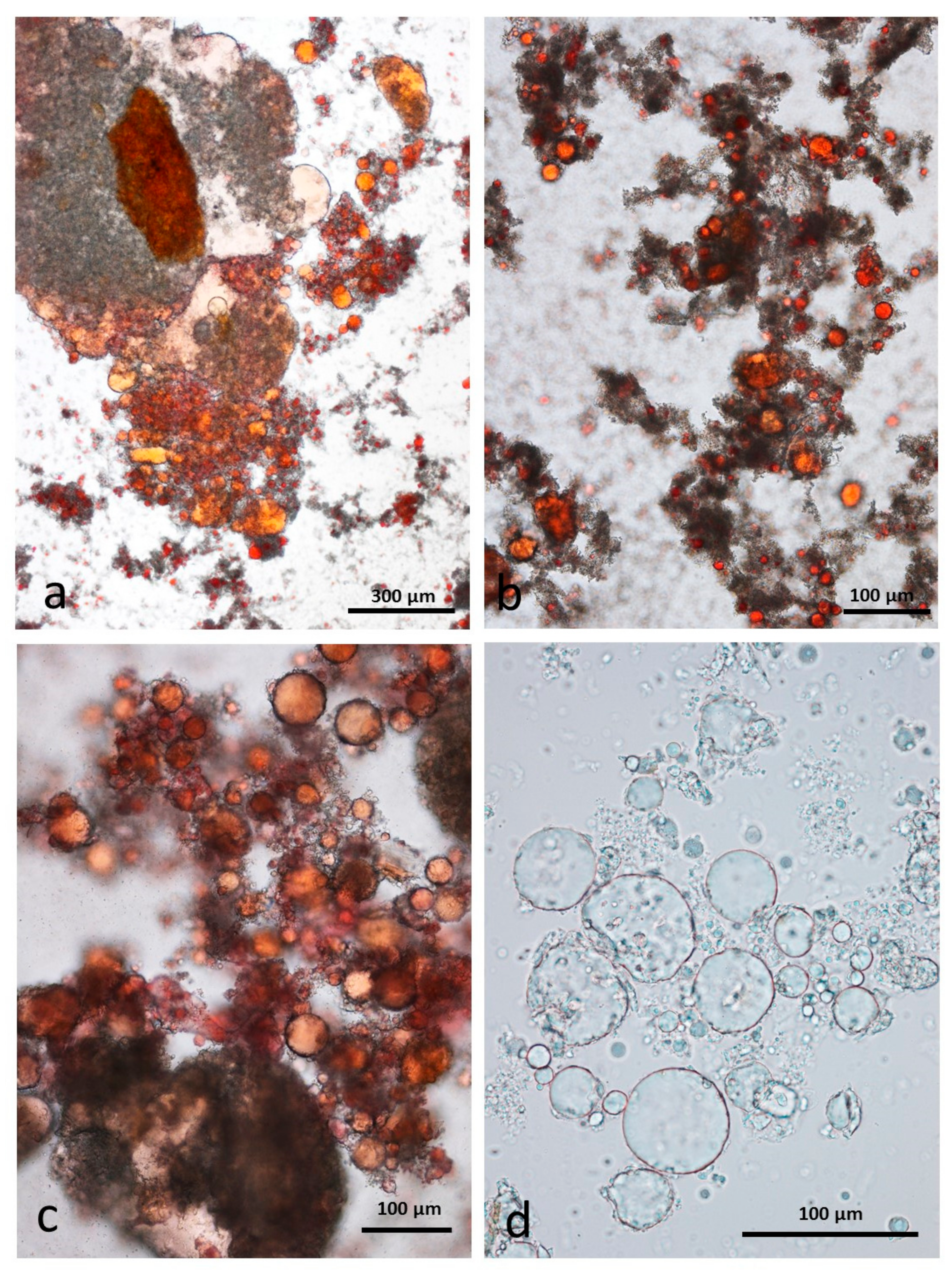 Nutrients 10 00213 g008