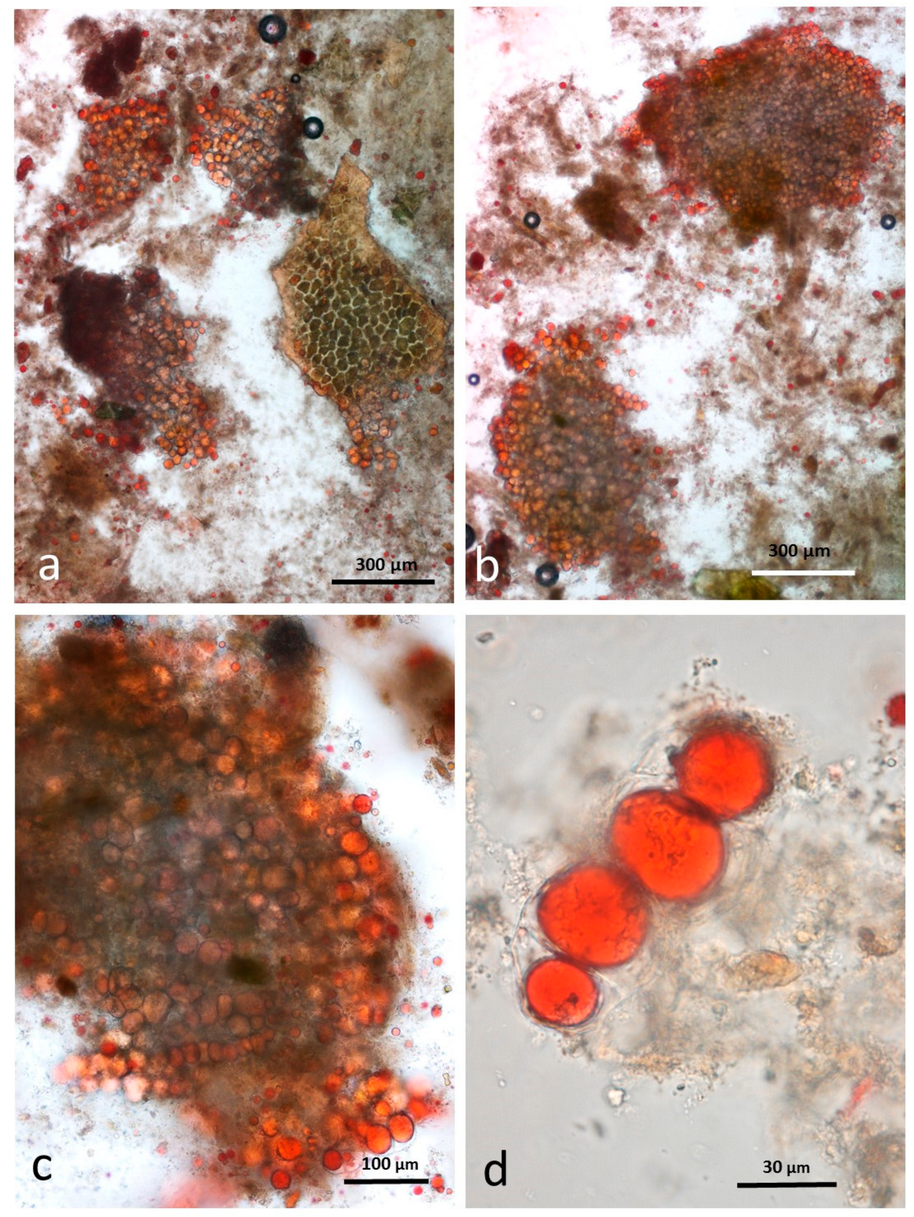 Nutrients 10 00213 g010
