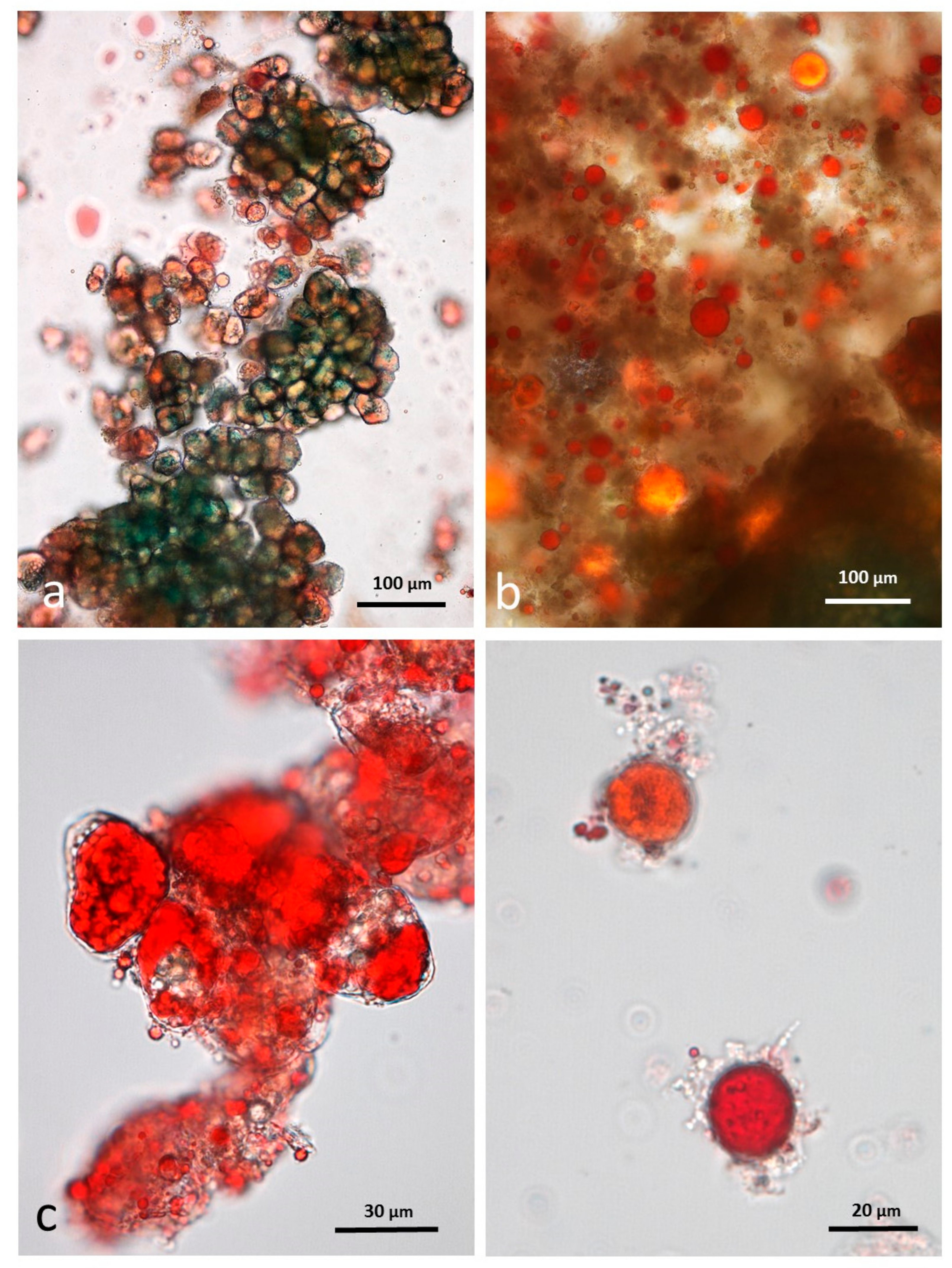 Nutrients 10 00213 g011