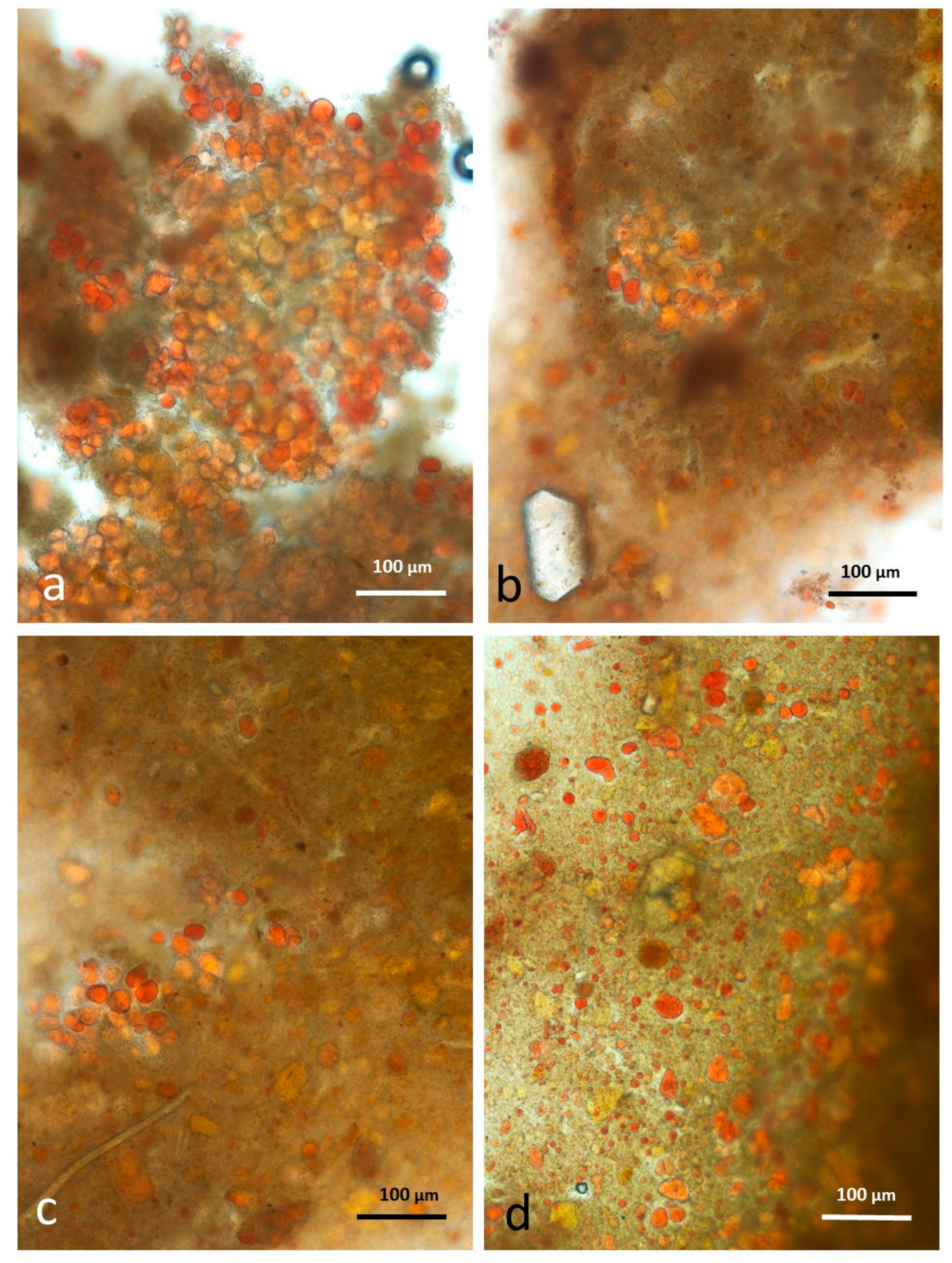 Nutrients 10 00213 g012