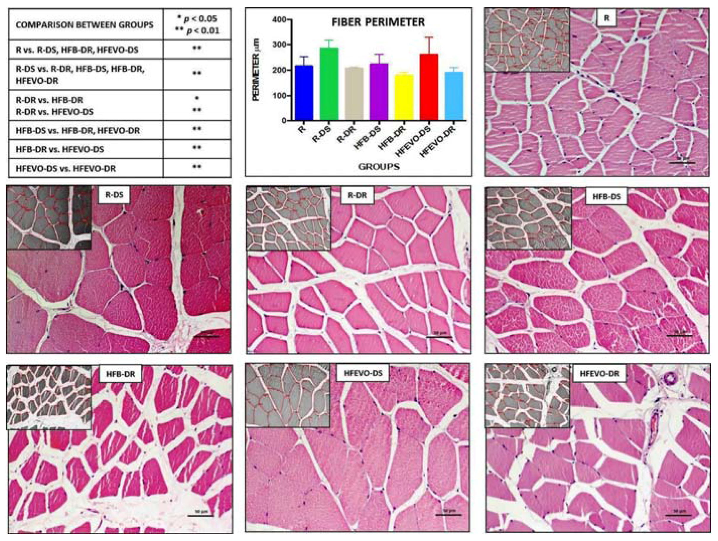 Nutrients 10 00231 g002