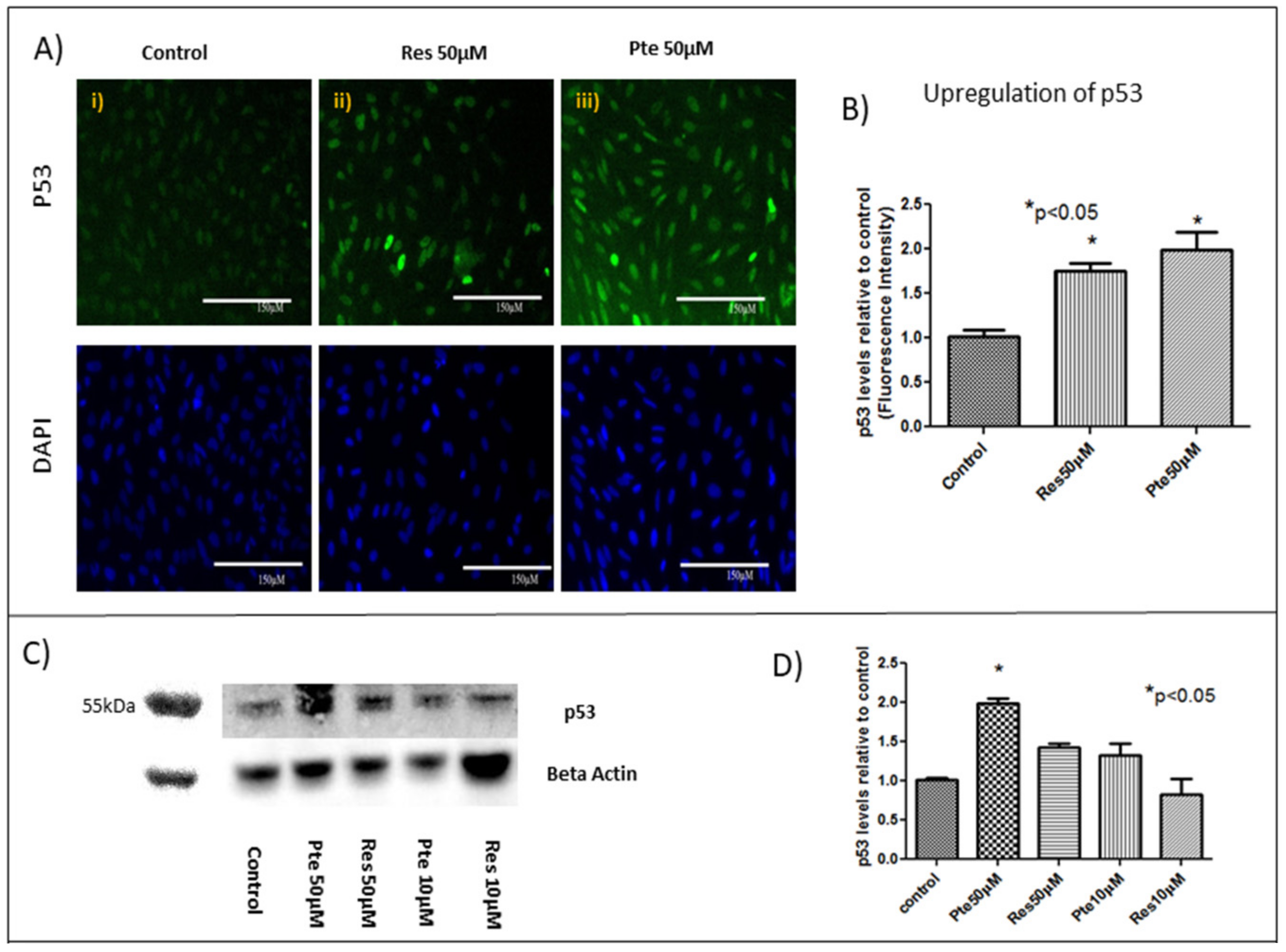 Nutrients 10 00243 g005