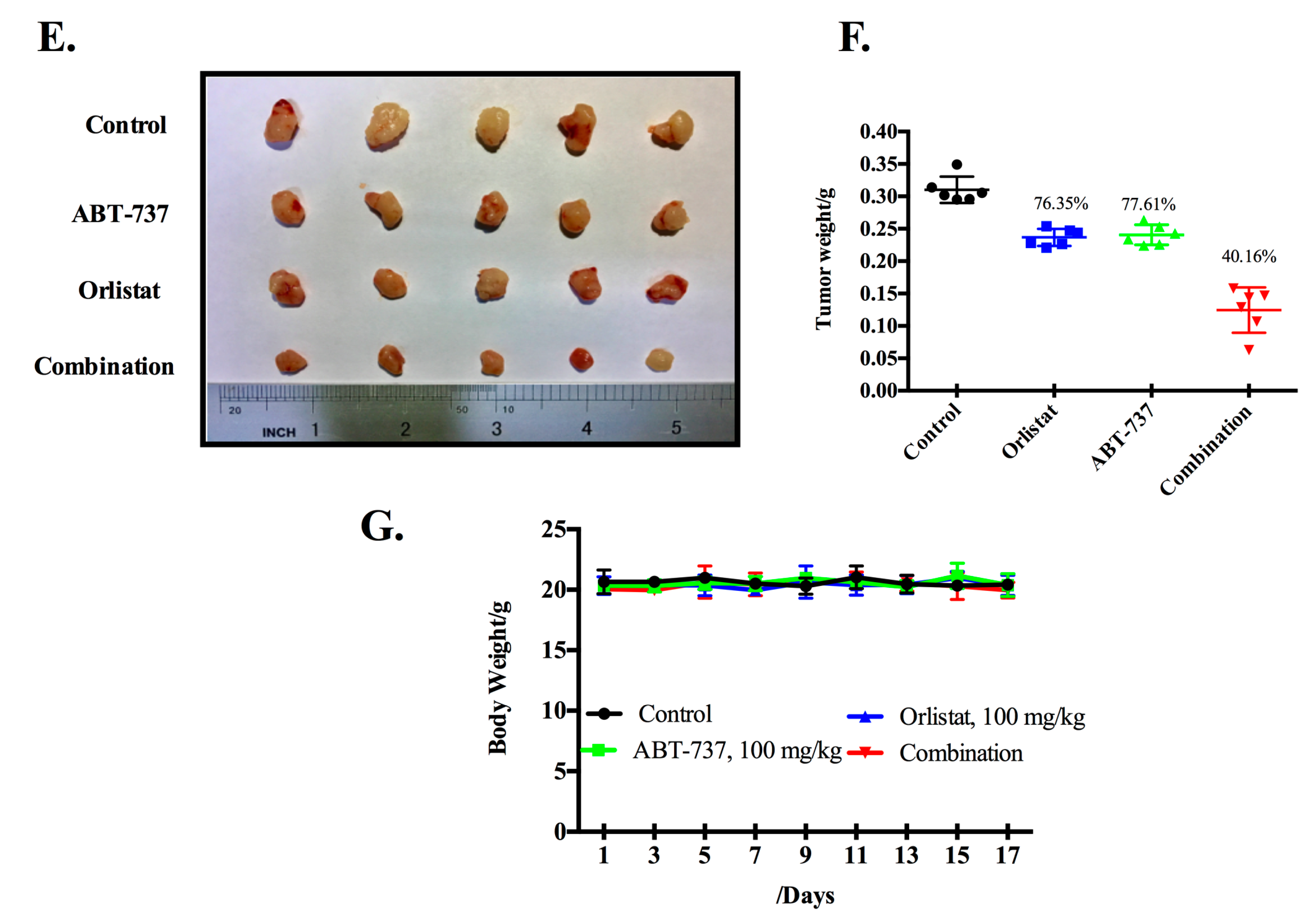 Nutrients 10 00353 g005b Nutrients 10 00353 g005b