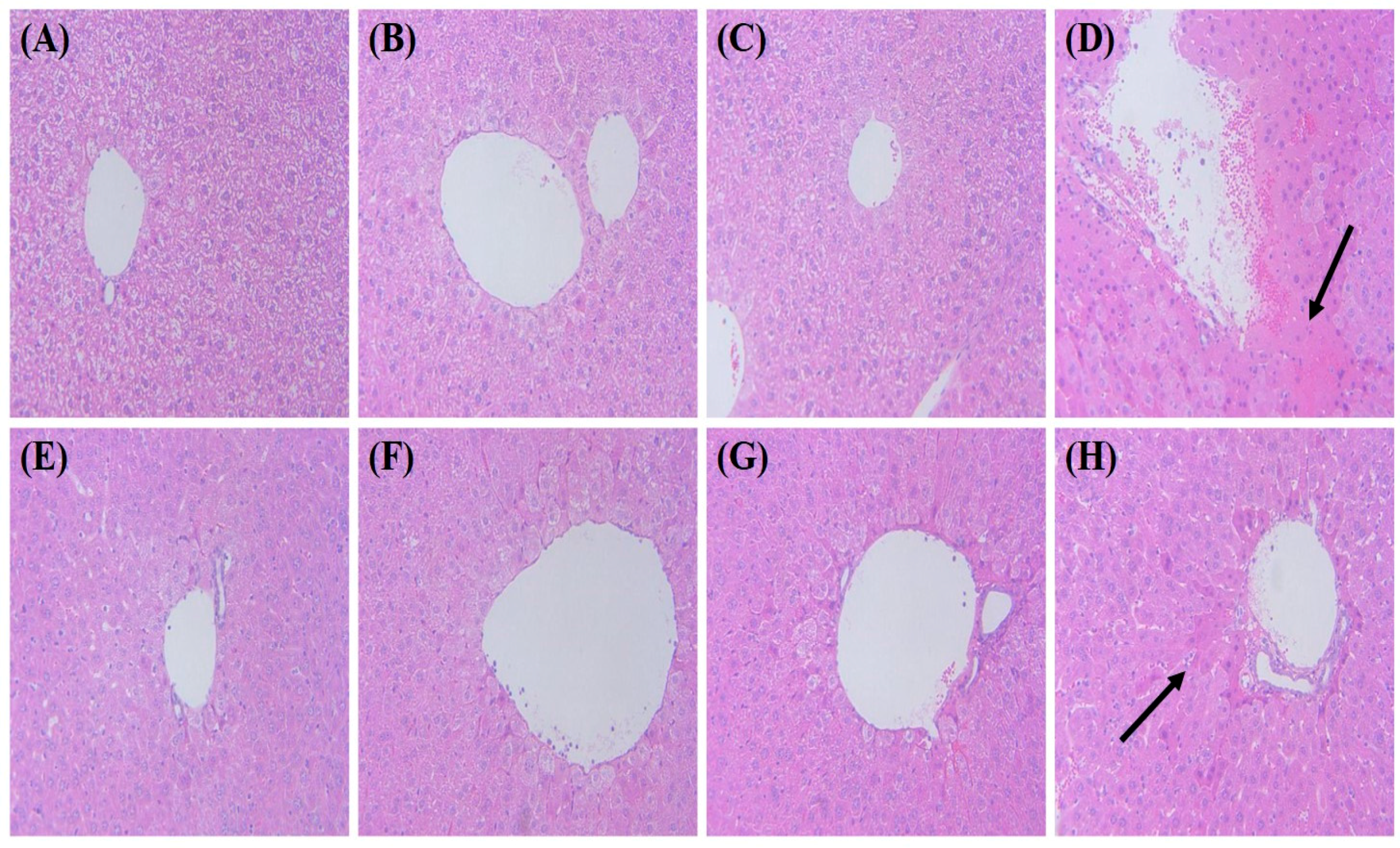 Nutrients 10 00363 g001