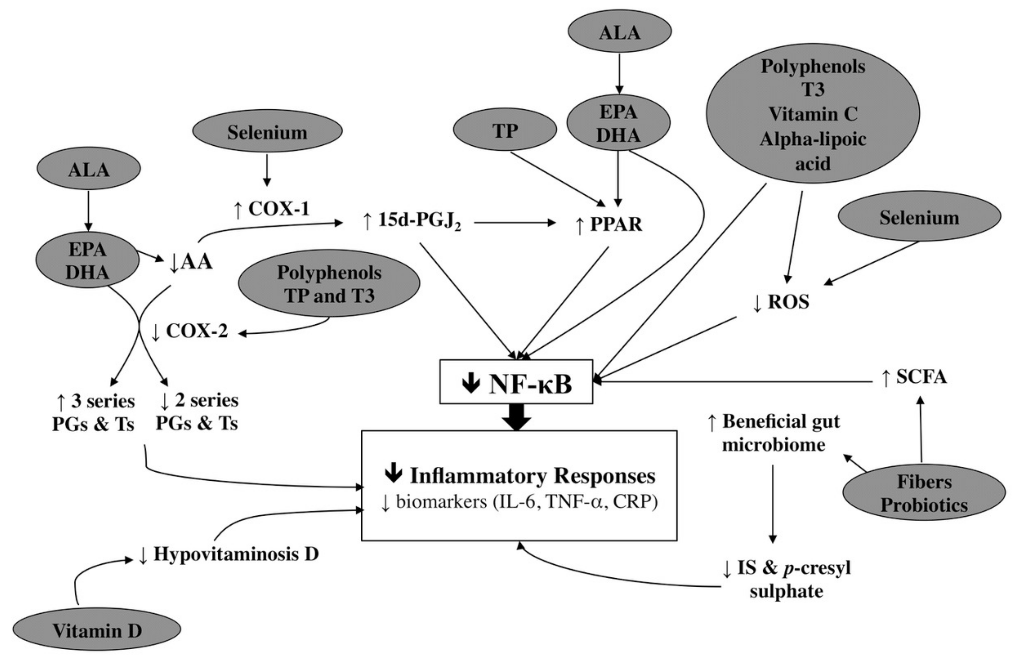 Nutrients 10 00397 g004 Nutrients 10 00397 g004