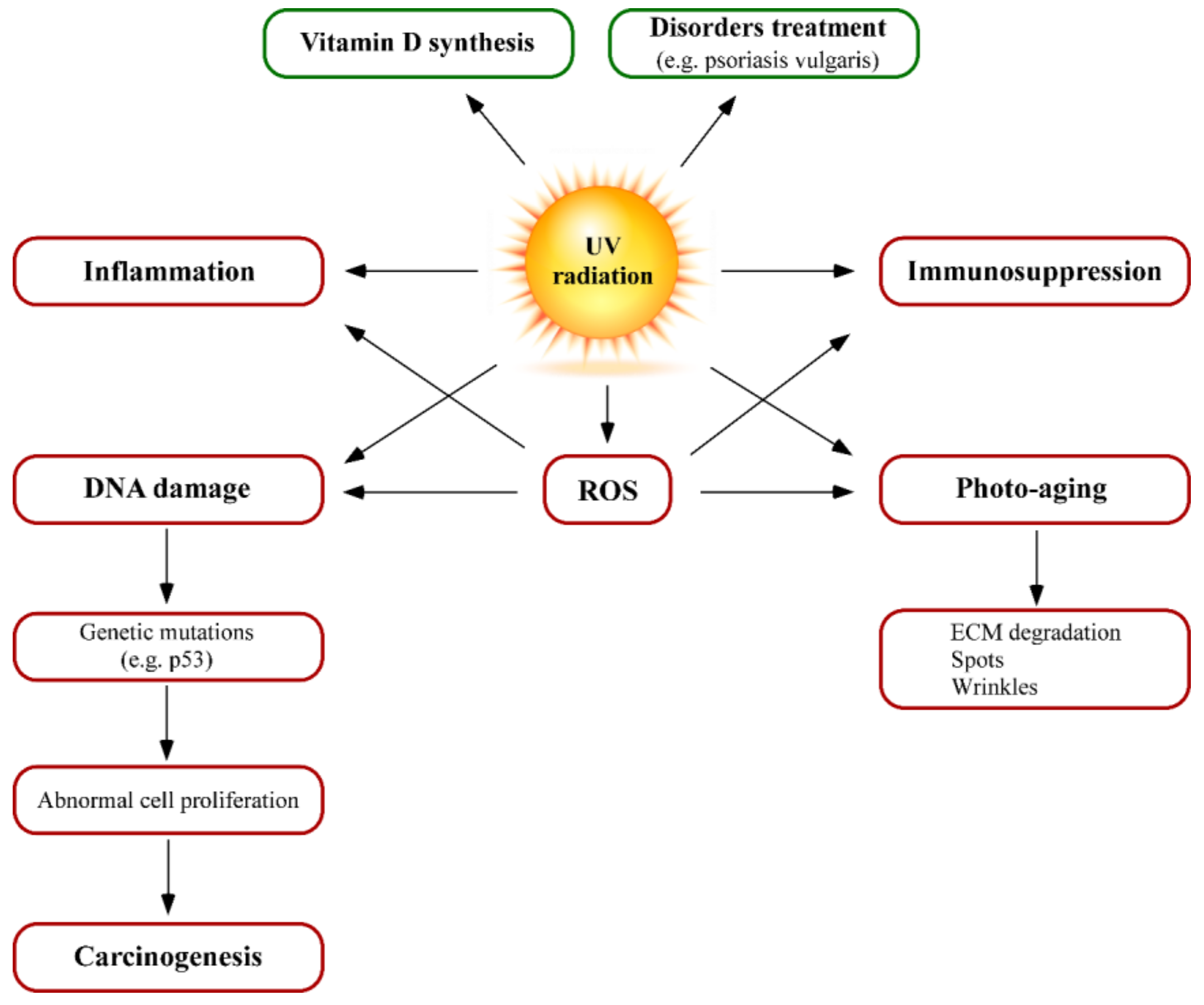 Nutrients 10 00403 g003 Nutrients 10 00403 g003