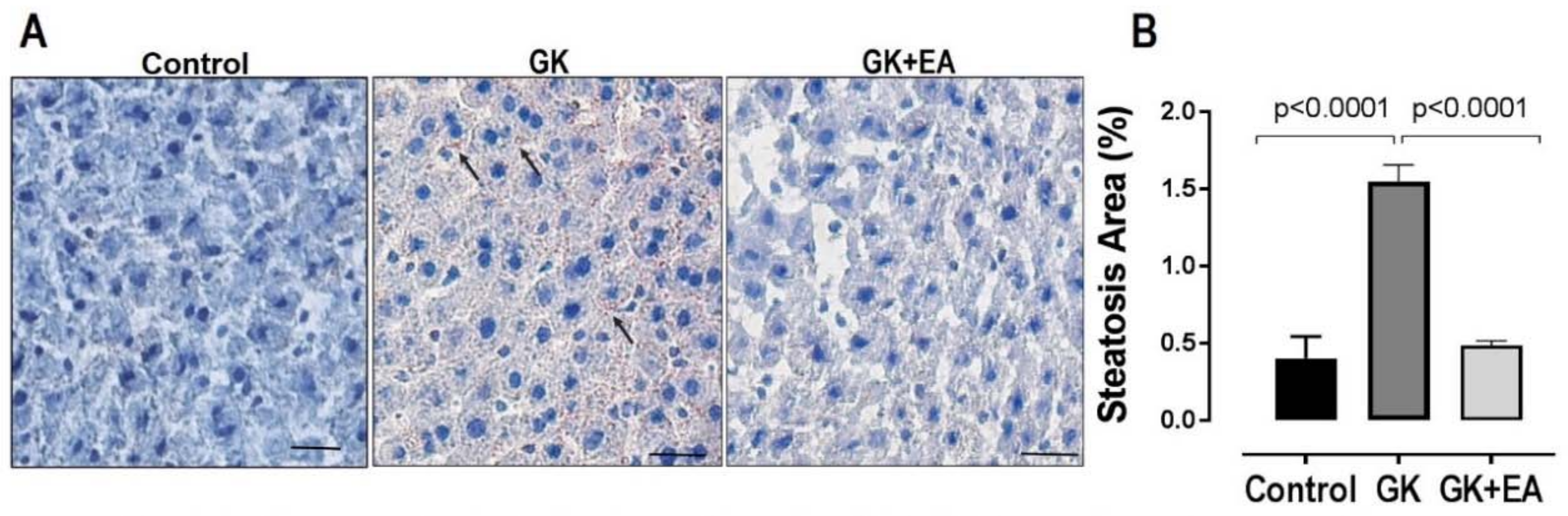 Nutrients 10 00531 g003