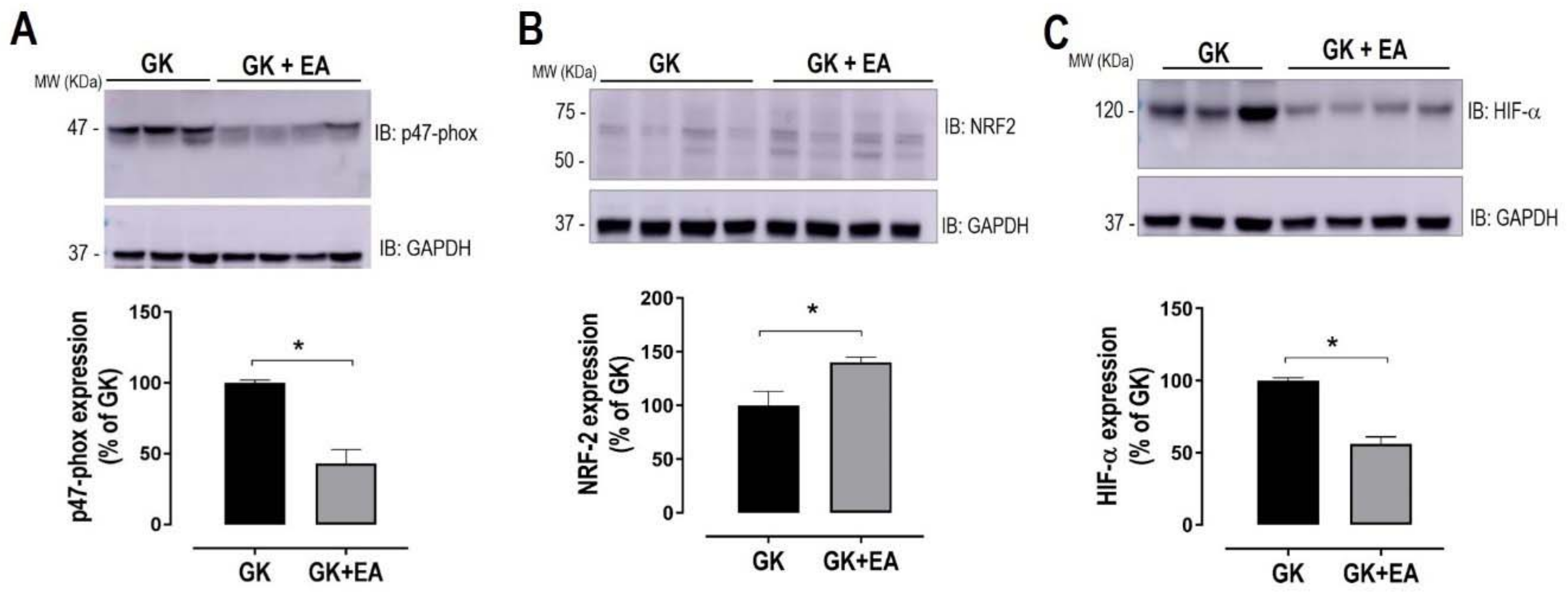 Nutrients 10 00531 g005