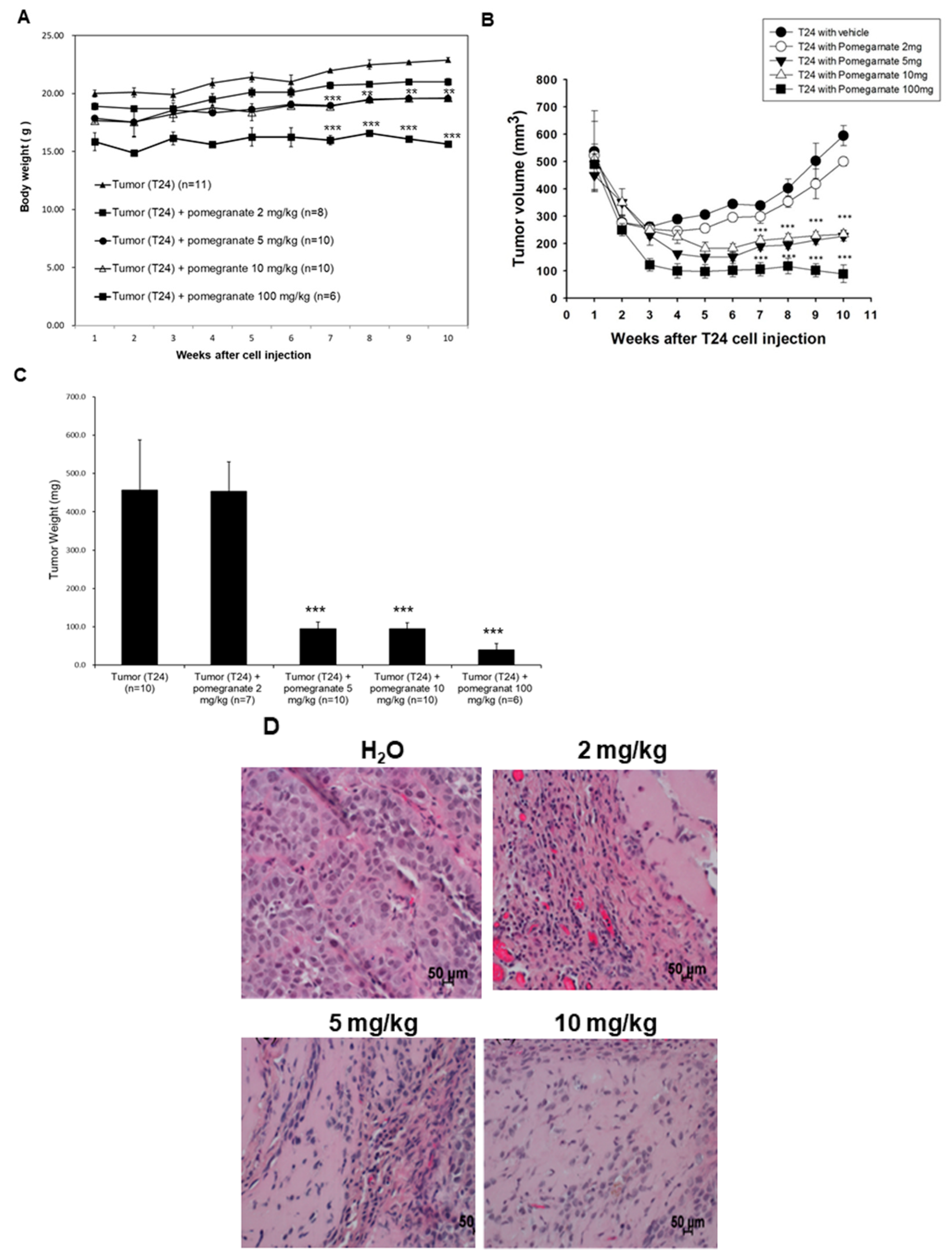 Nutrients 10 00543 g004a Nutrients 10 00543 g004a