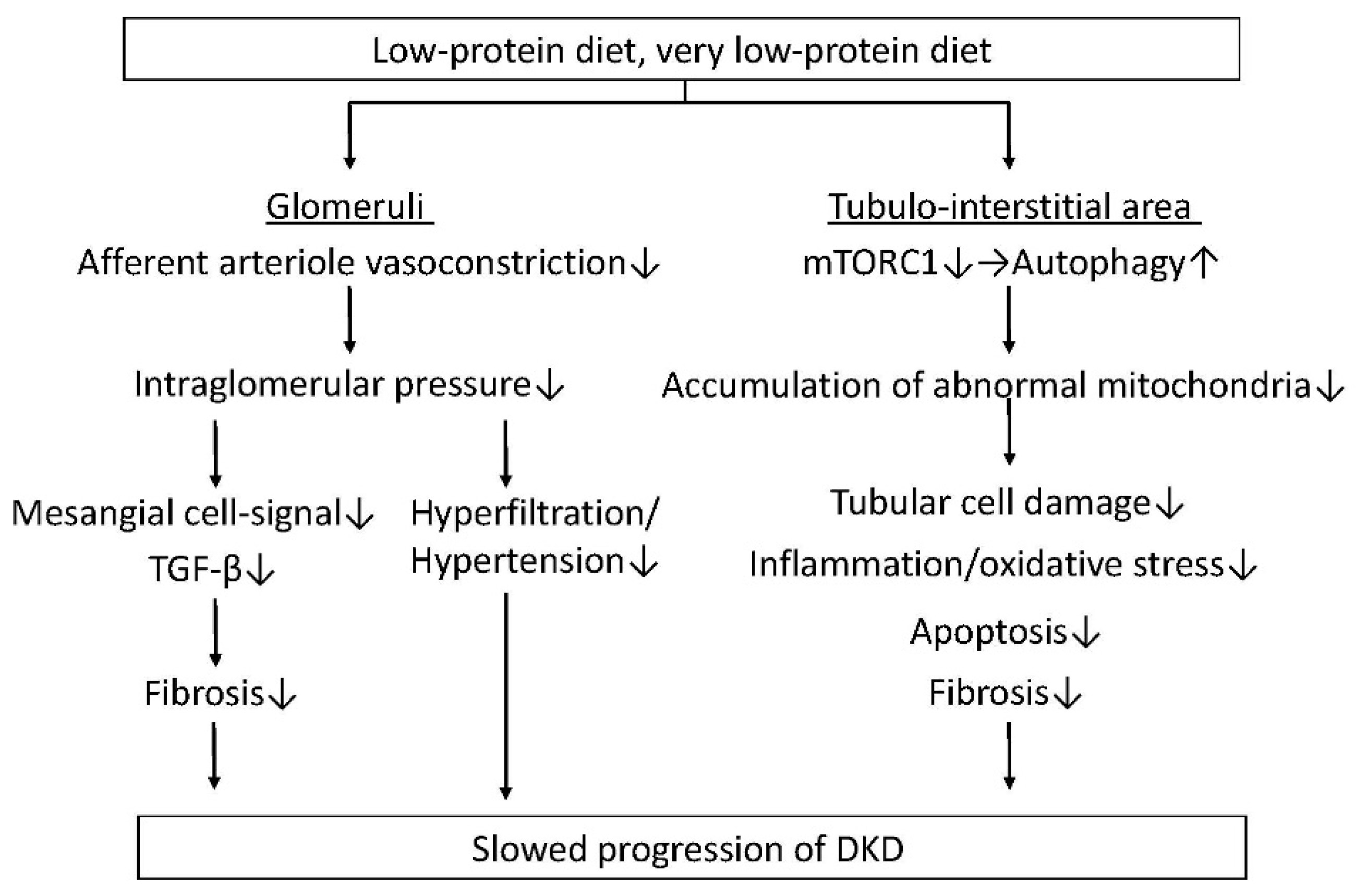 Nutrients 10 00544 g001