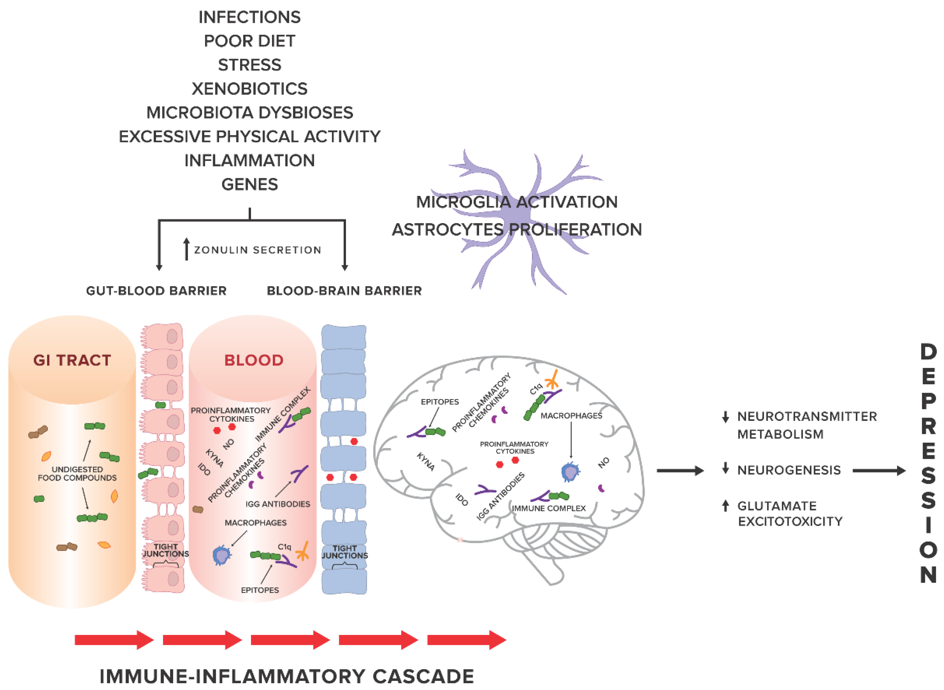 Nutrients 10 00548 g001