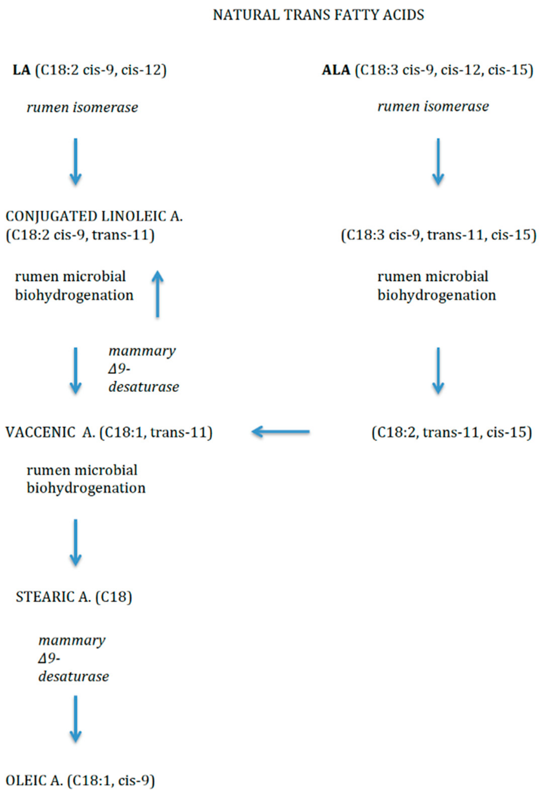 Nutrients 10 00567 g003