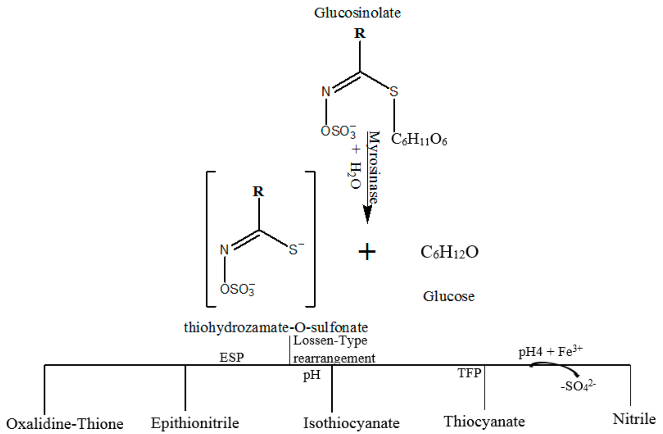 Nutrients 10 00580 g001