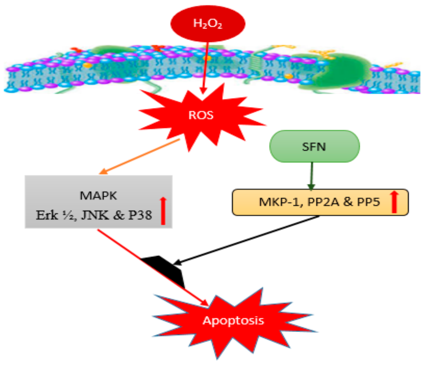 Nutrients 10 00580 g003