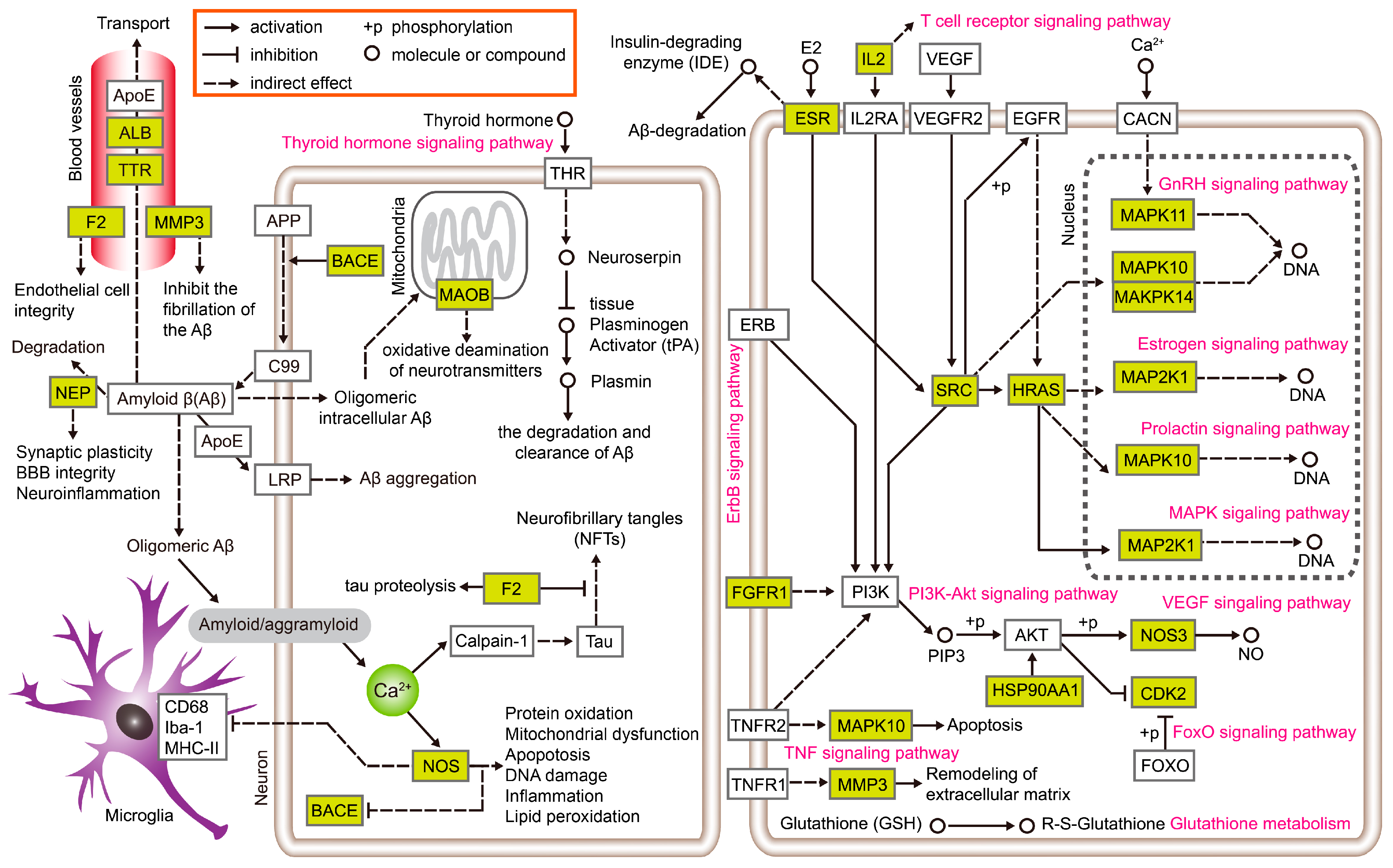 Nutrients 10 00589 g008