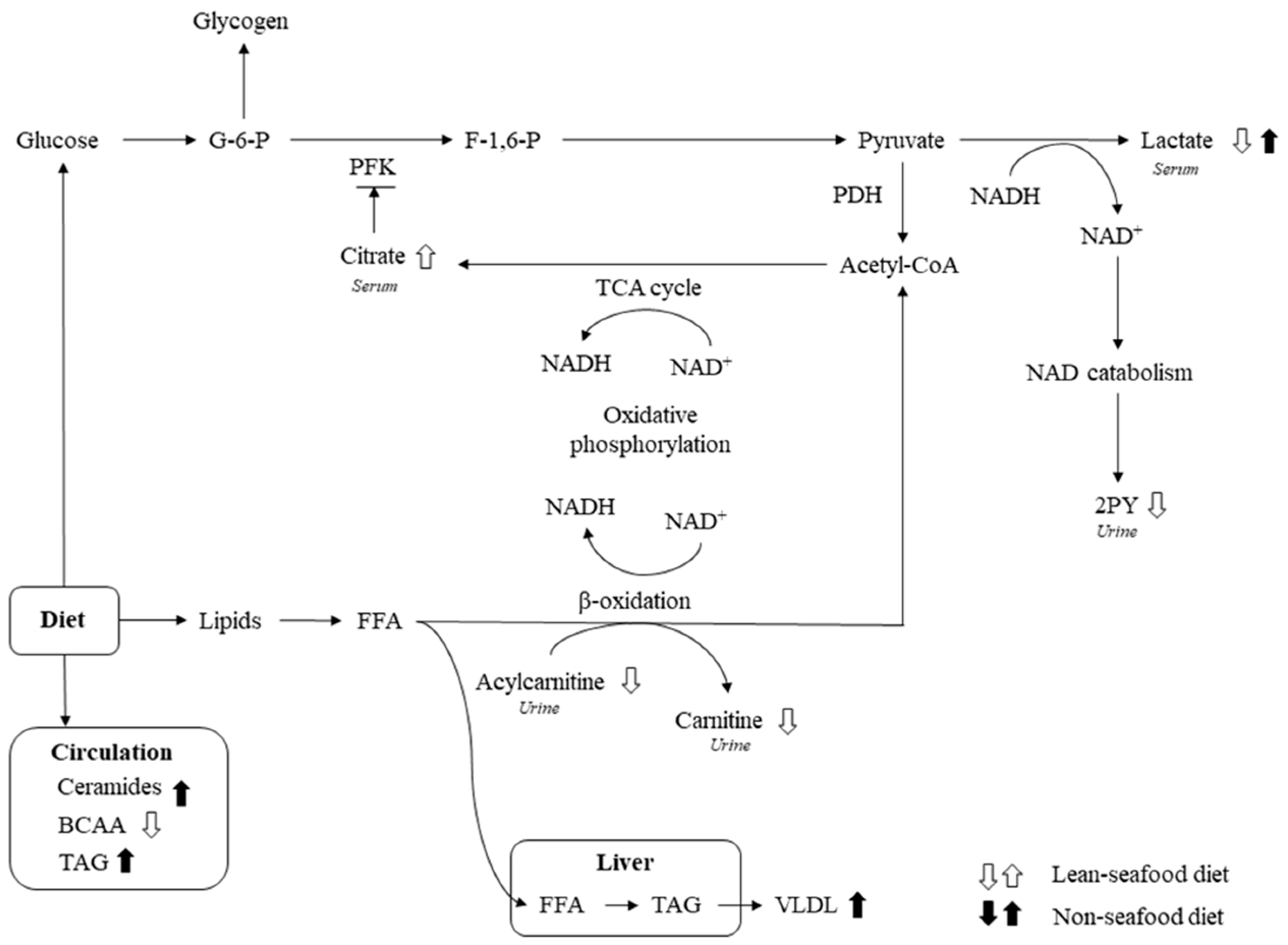 Nutrients 10 00598 g003 Nutrients 10 00598 g003
