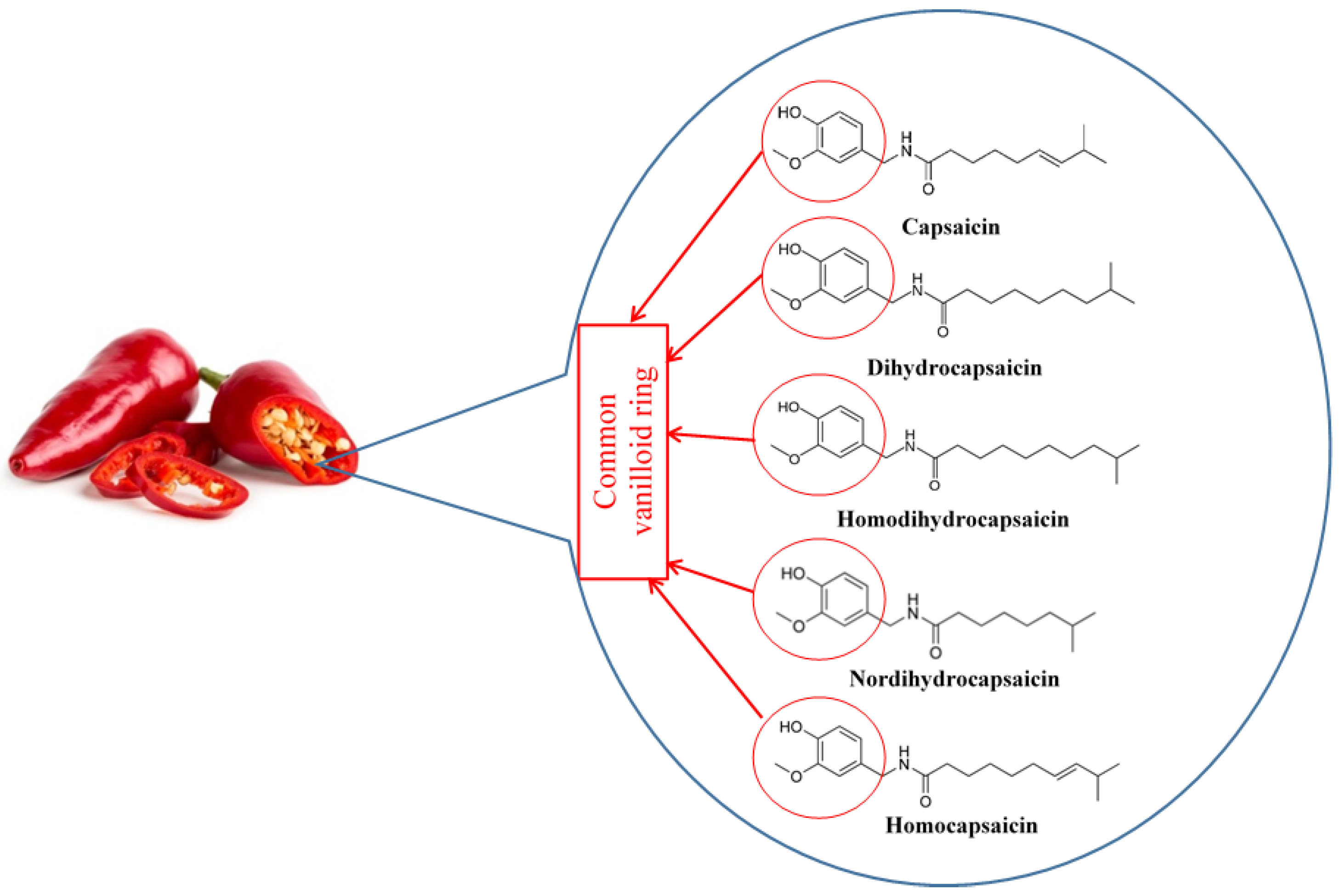 Nutrients 10 00630 g001 Nutrients 10 00630 g001