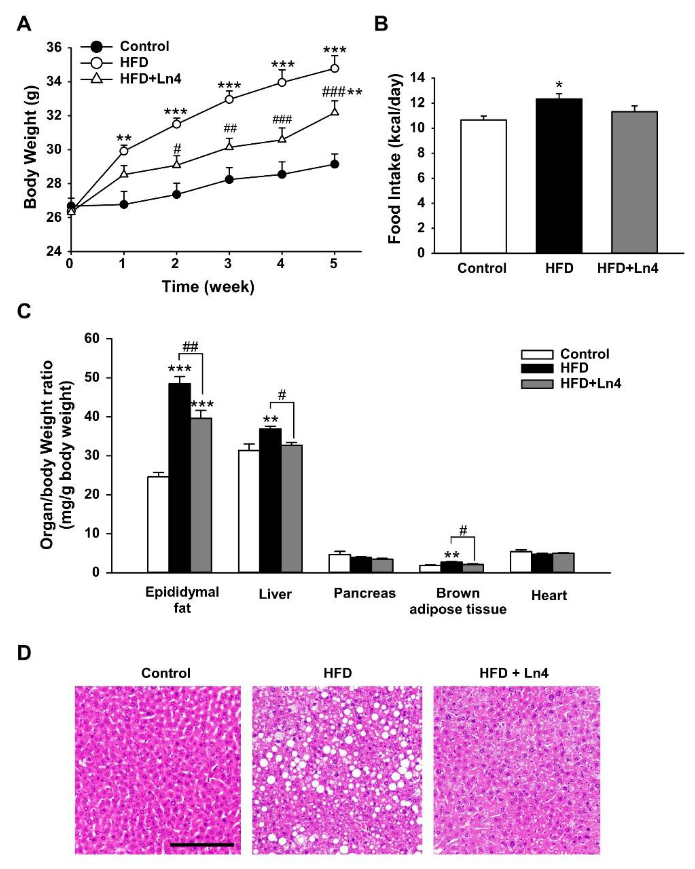 Nutrients 10 00643 g002 Nutrients 10 00643 g002