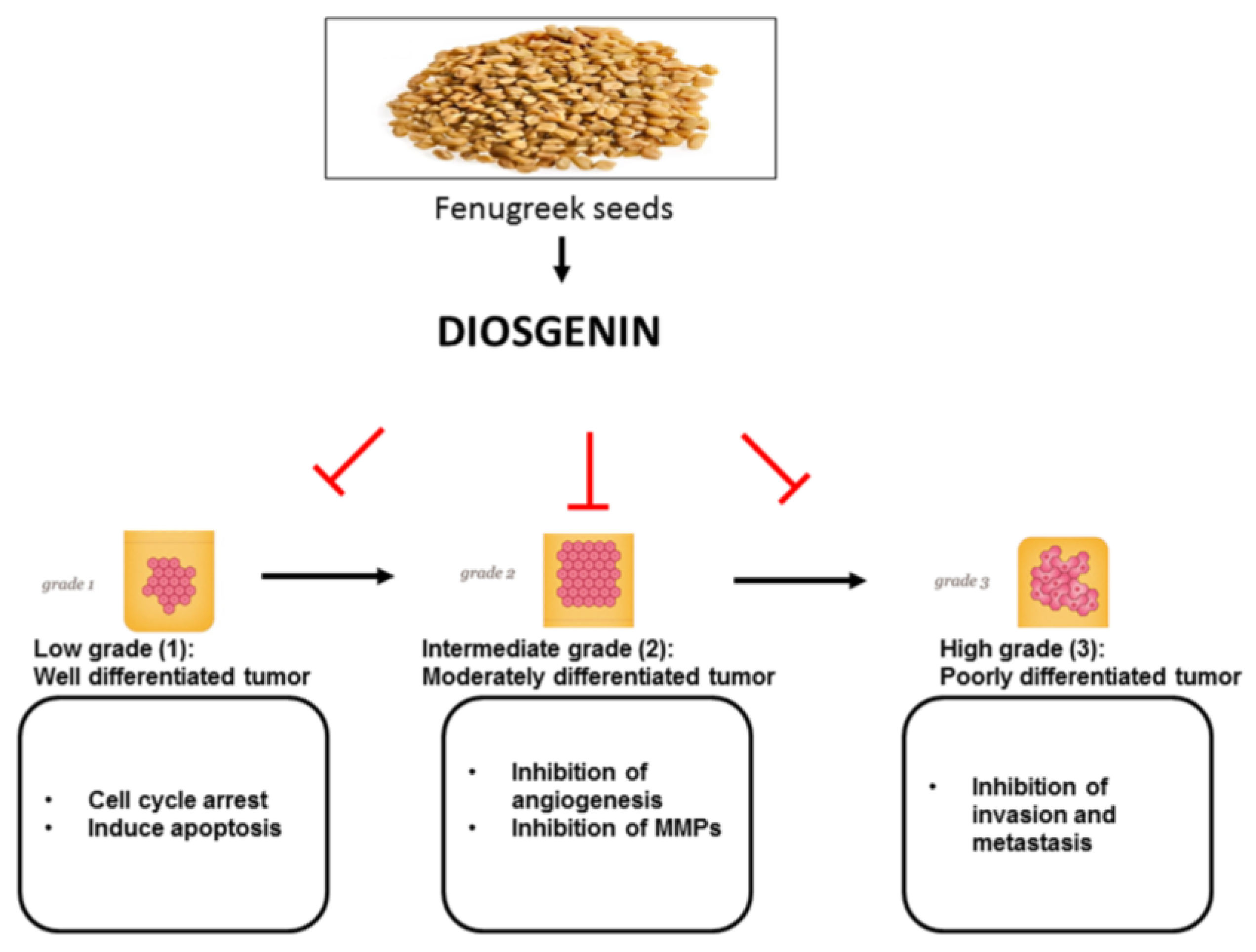 Nutrients 10 00645 g002