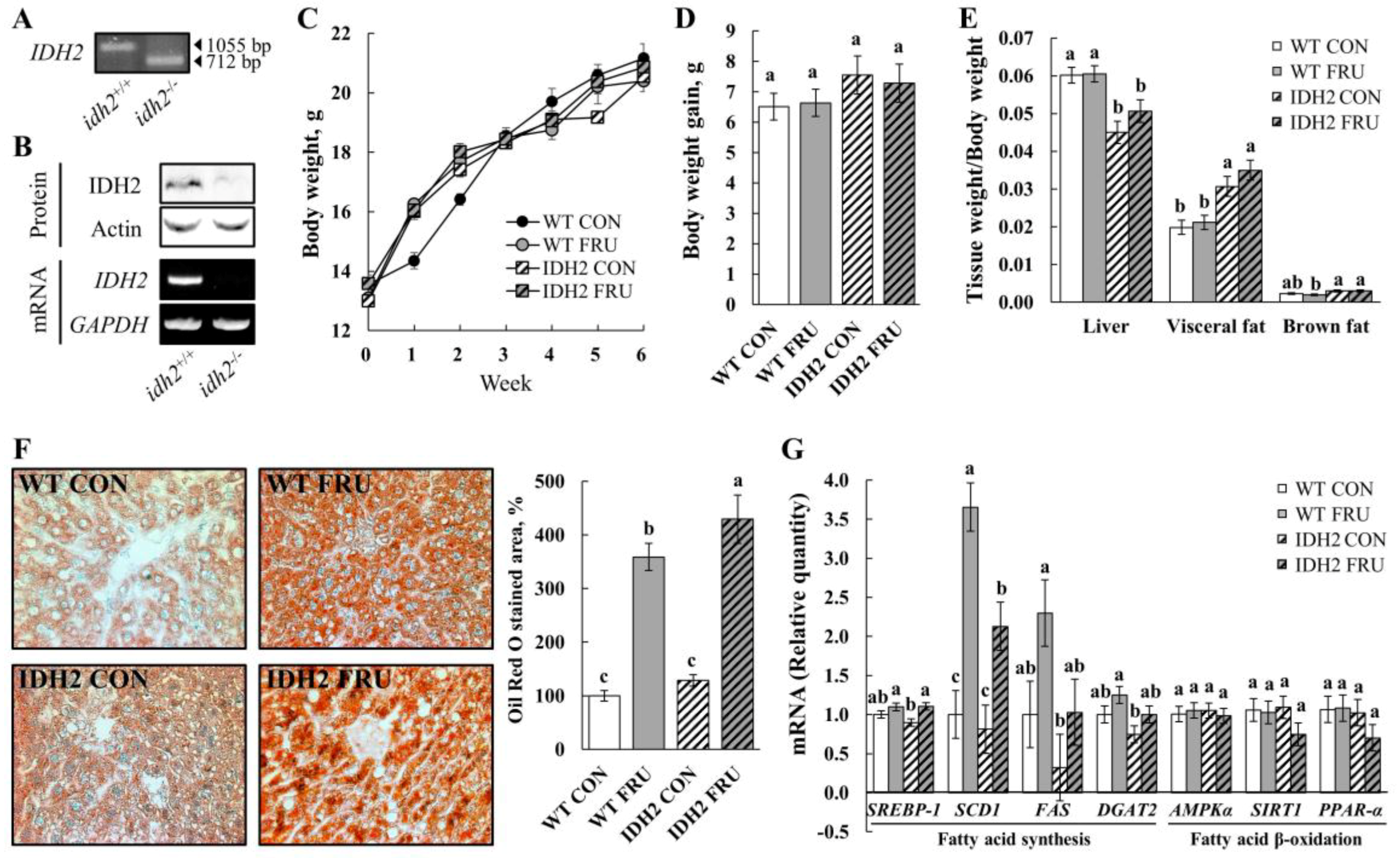 Nutrients 10 00679 g001