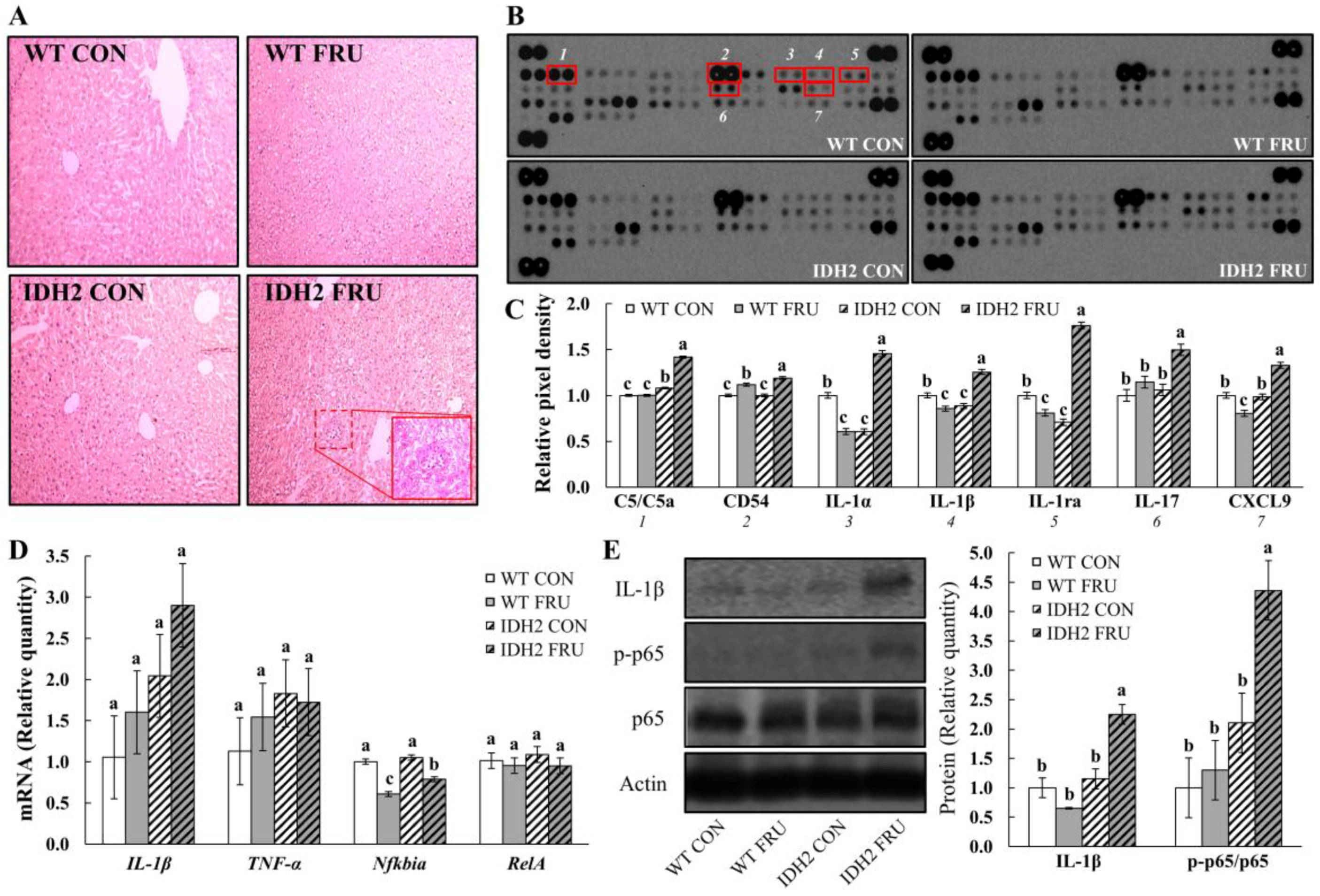 Nutrients 10 00679 g002