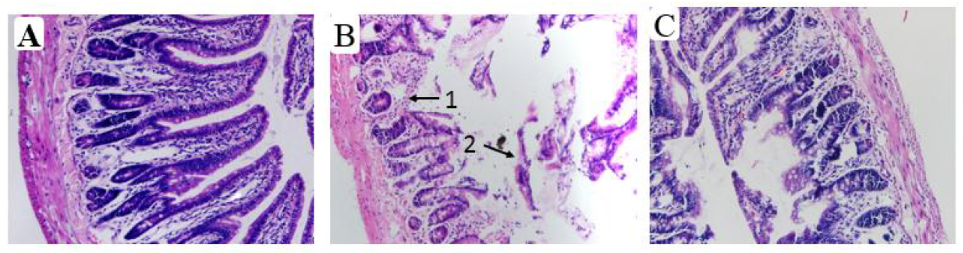 Nutrients 10 00681 g008