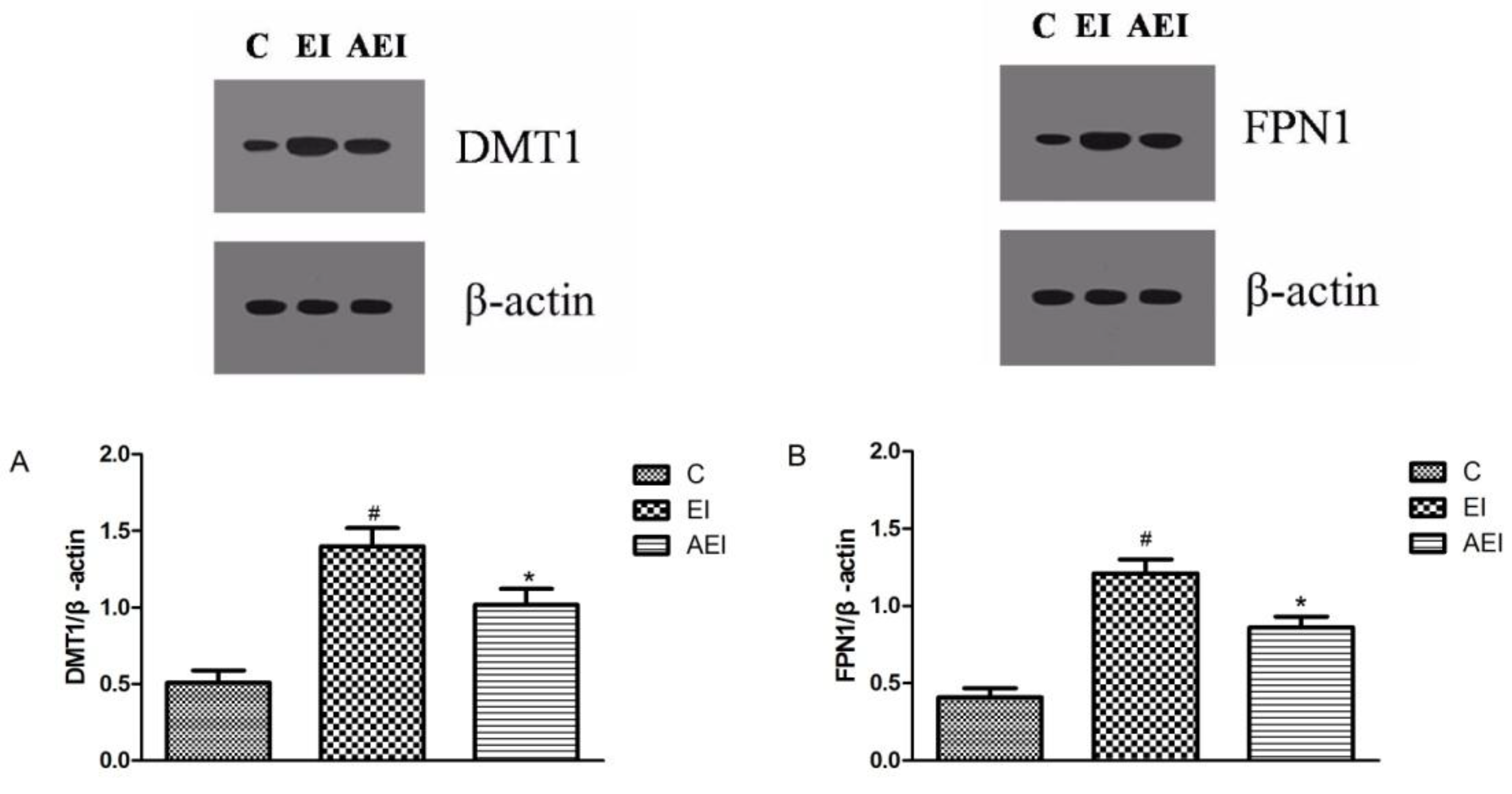 Nutrients 10 00681 g010