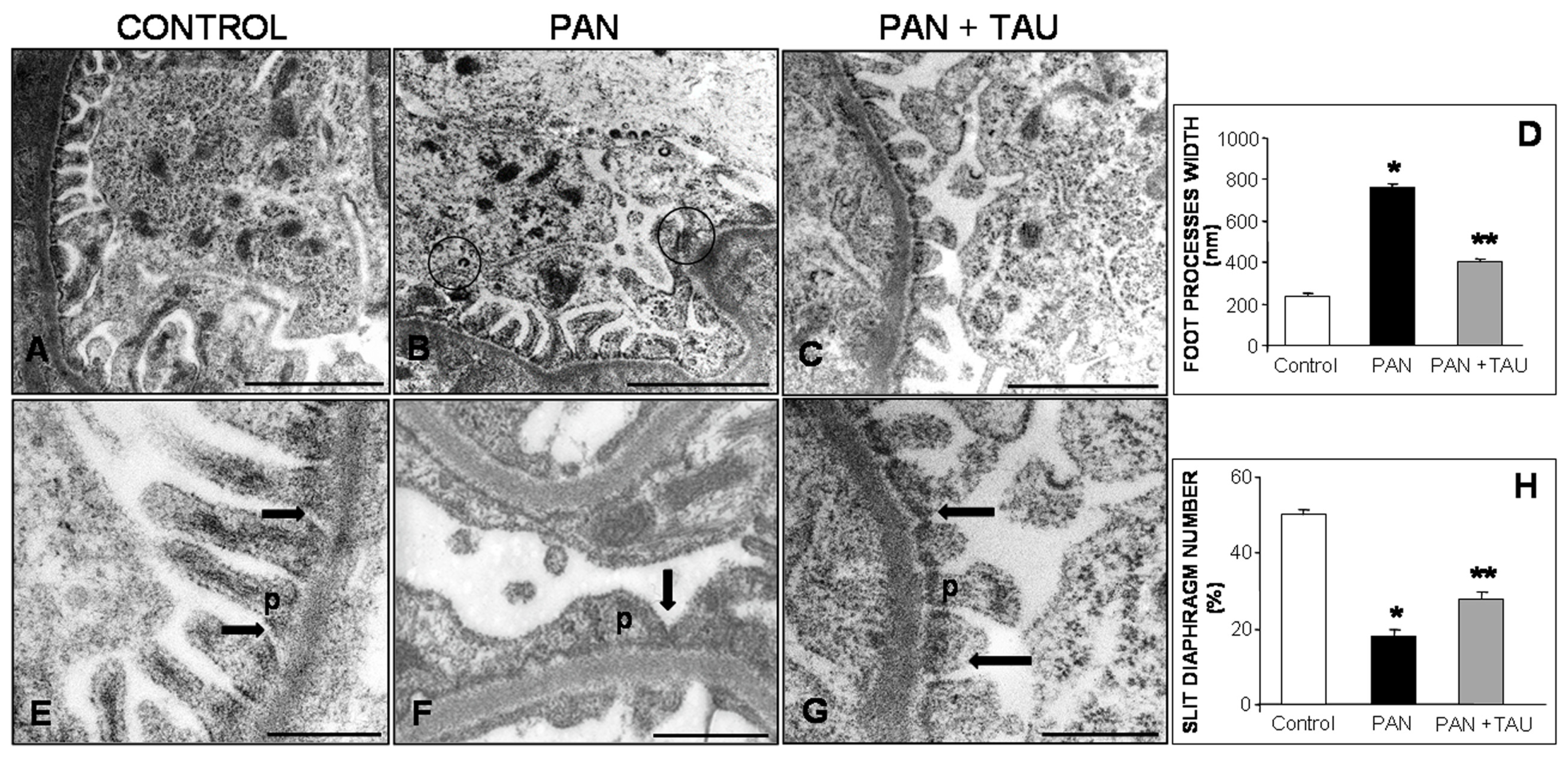 Nutrients 10 00689 g001