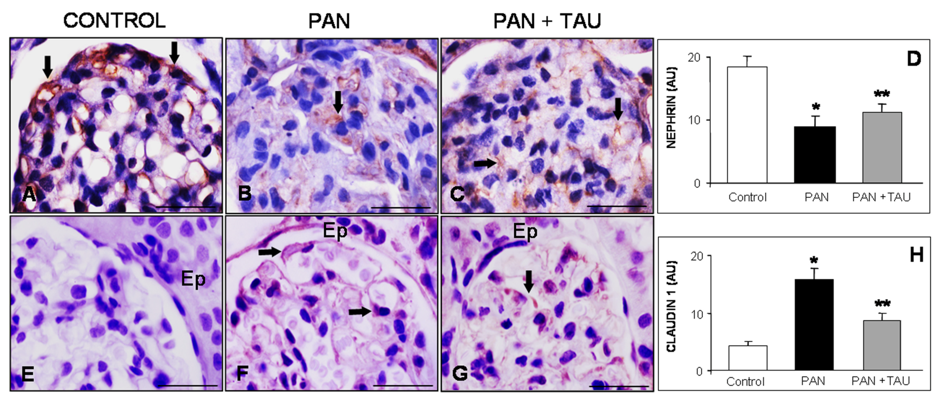 Nutrients 10 00689 g002