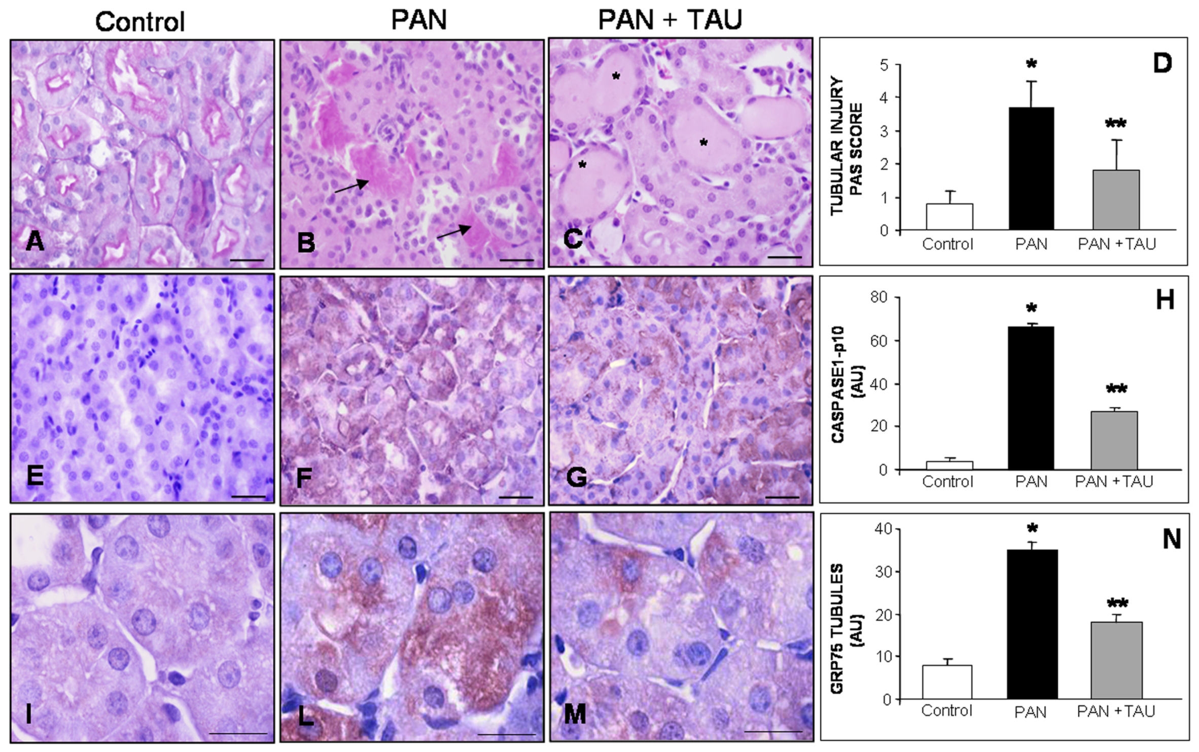 Nutrients 10 00689 g005