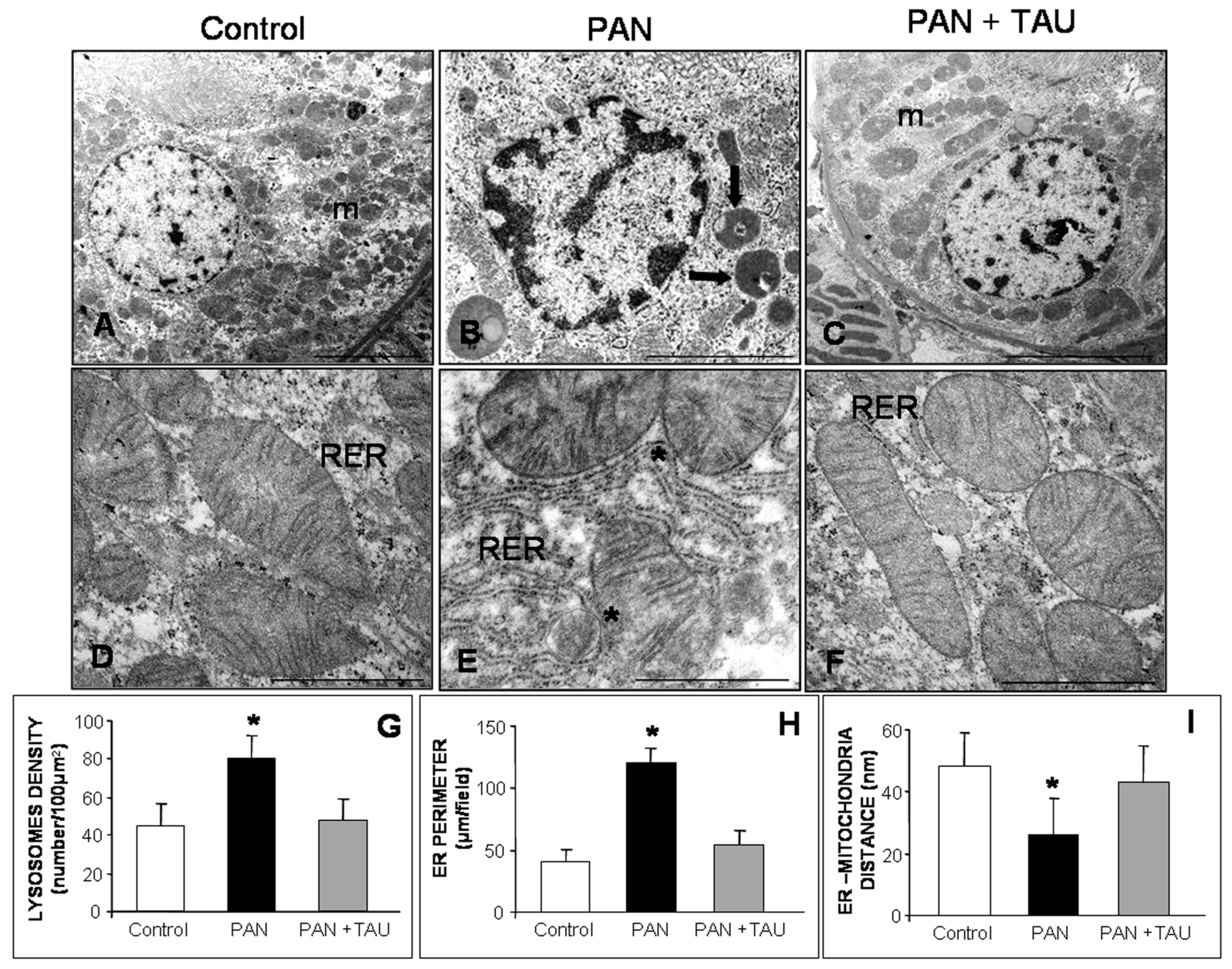Nutrients 10 00689 g006