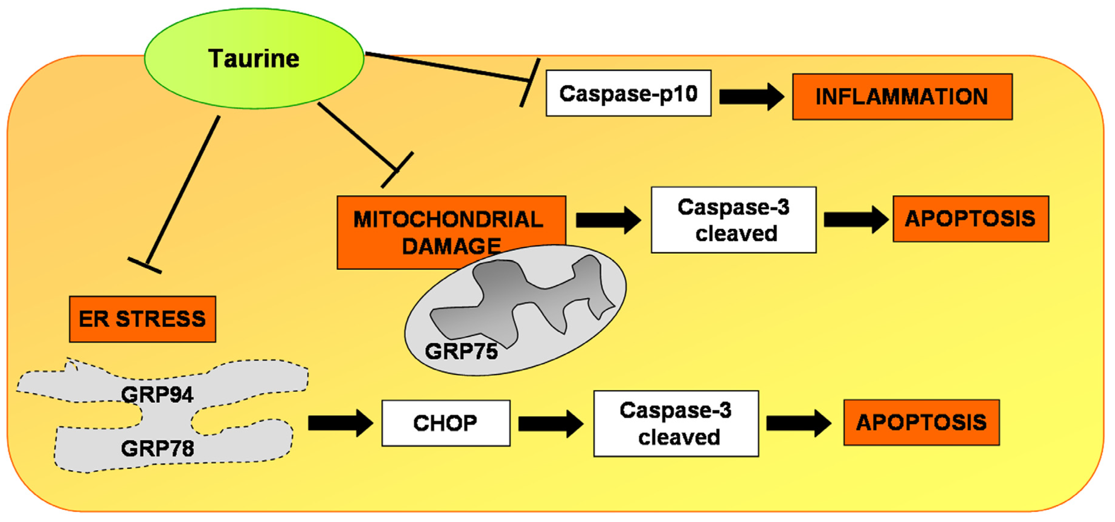 Nutrients 10 00689 g007