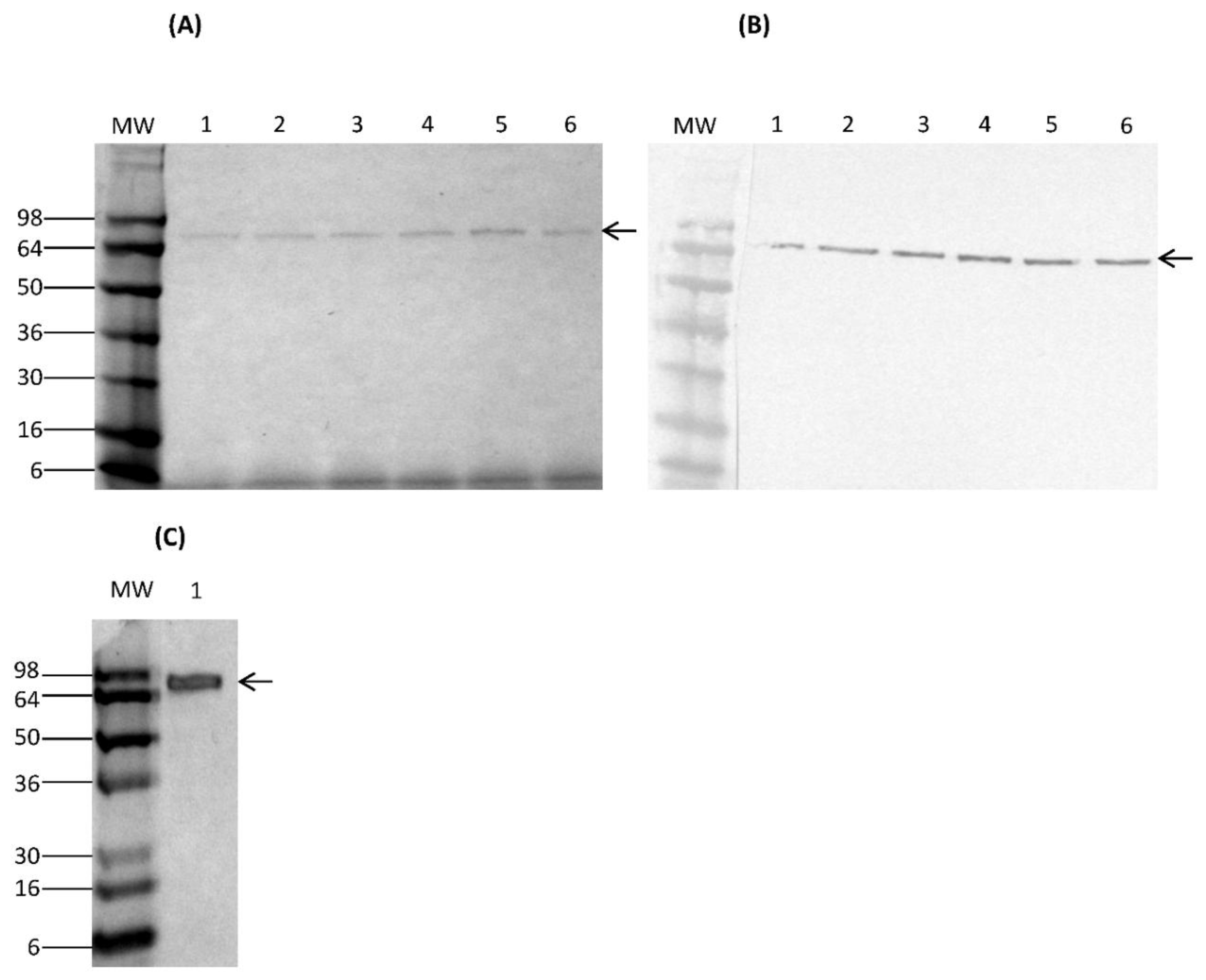 Nutrients 10 00757 g001