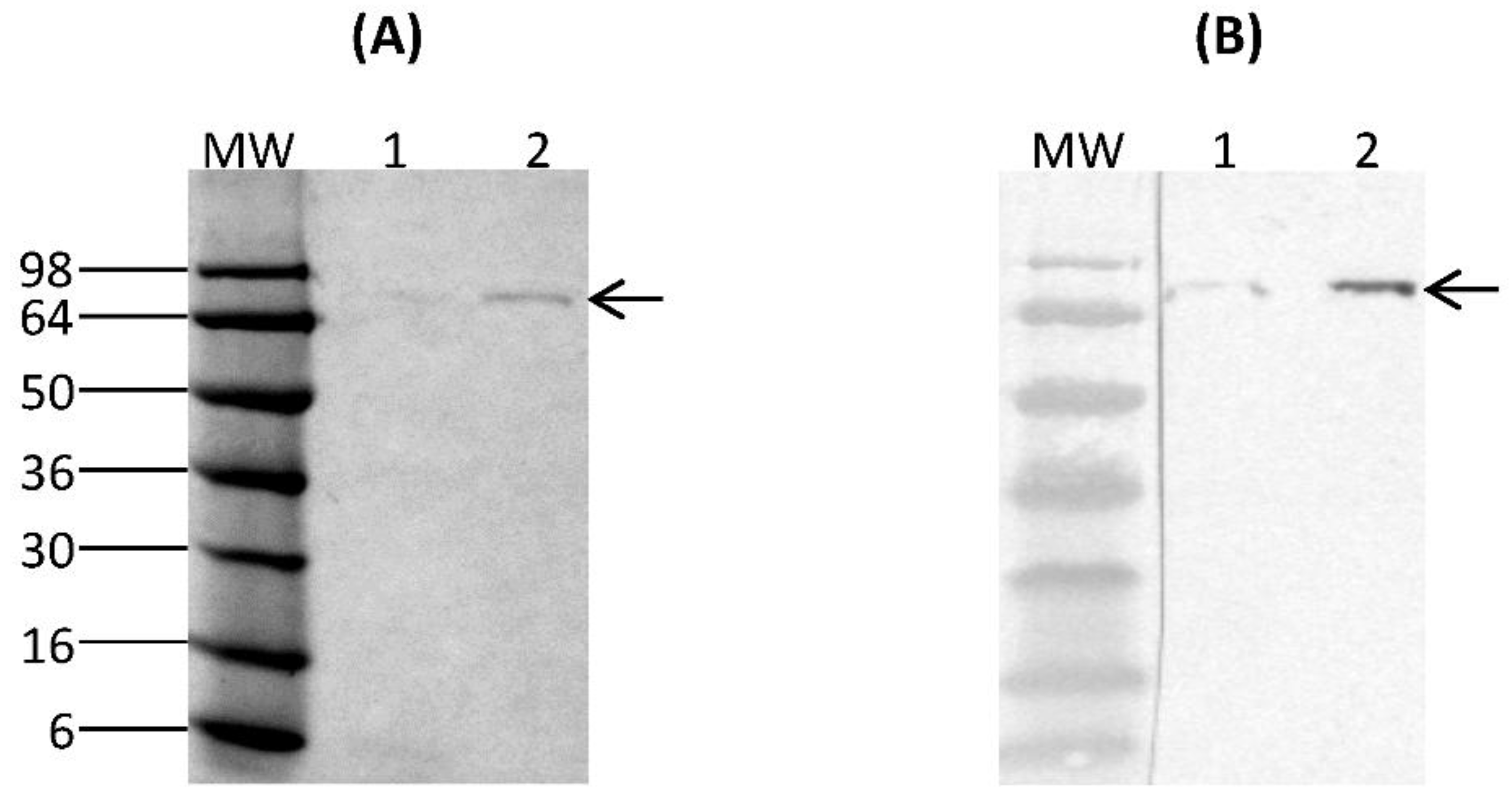 Nutrients 10 00757 g002
