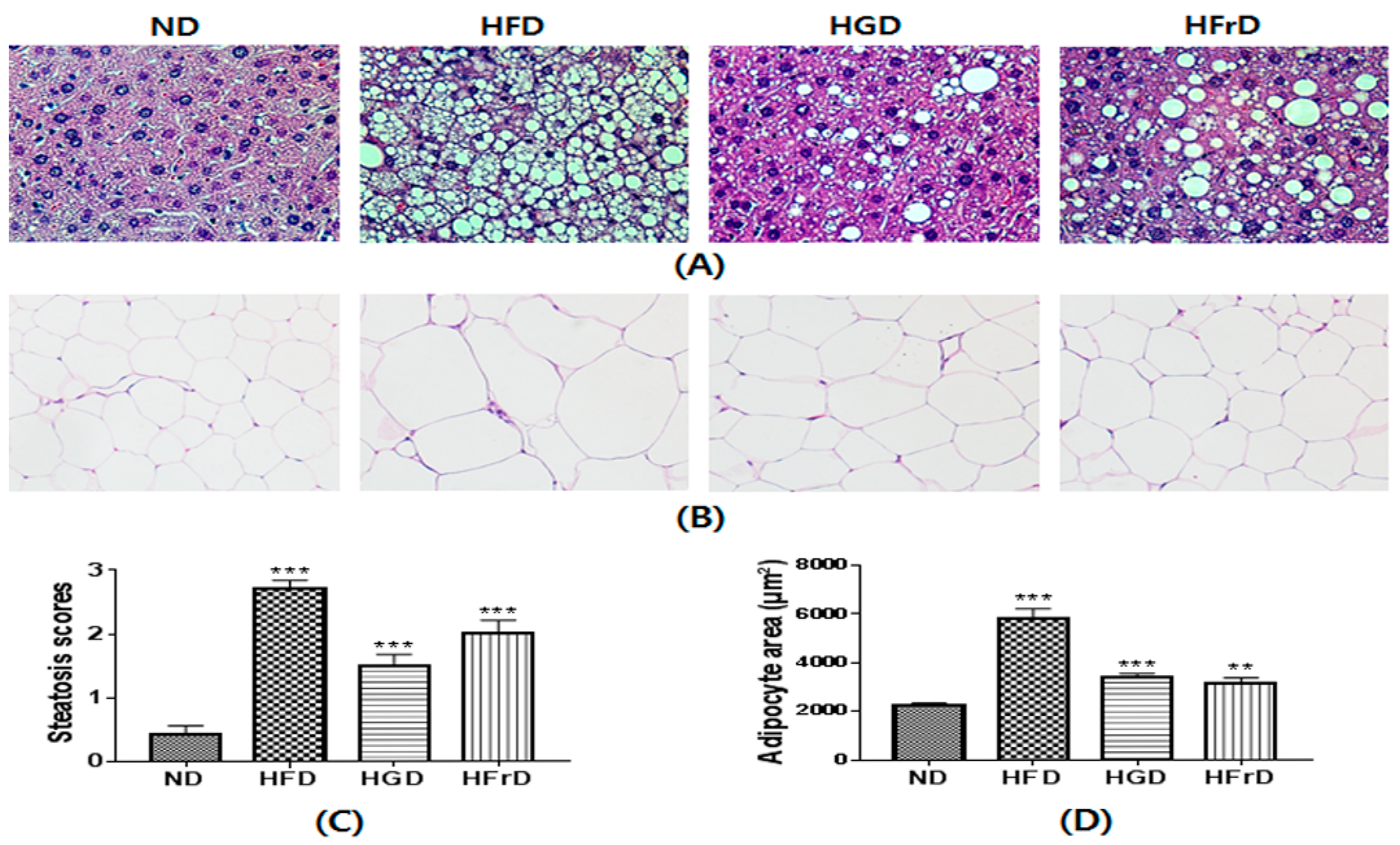 Nutrients 10 00761 g006 Nutrients 10 00761 g006