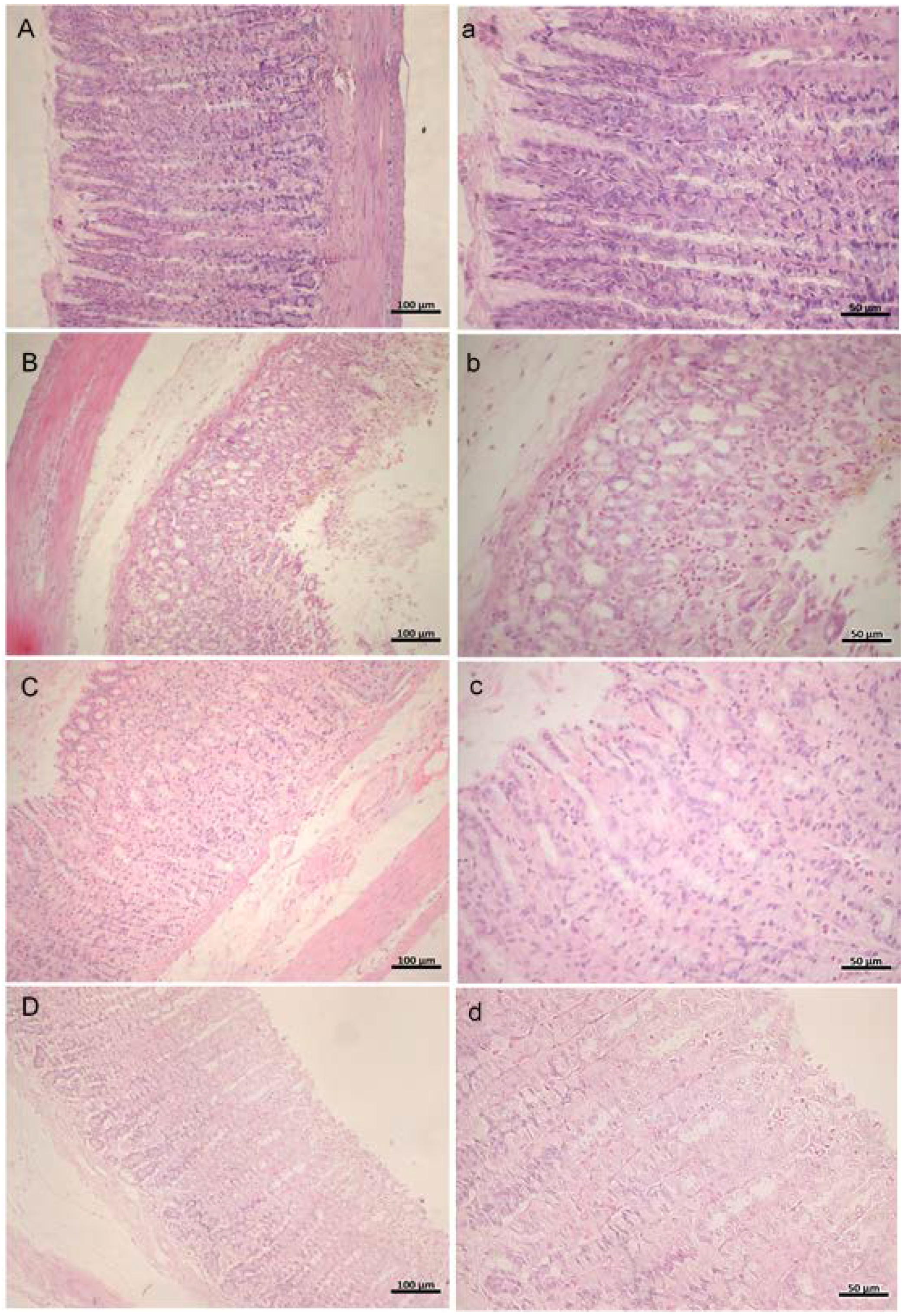 Nutrients 10 00763 g002