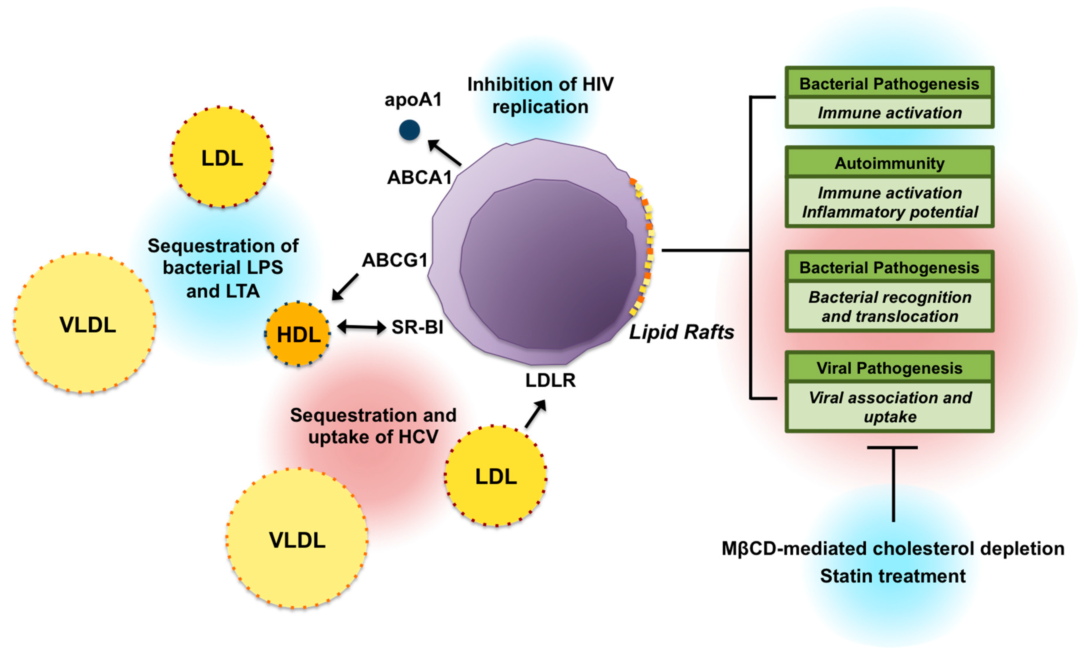 Nutrients 10 00764 g001 Nutrients 10 00764 g001