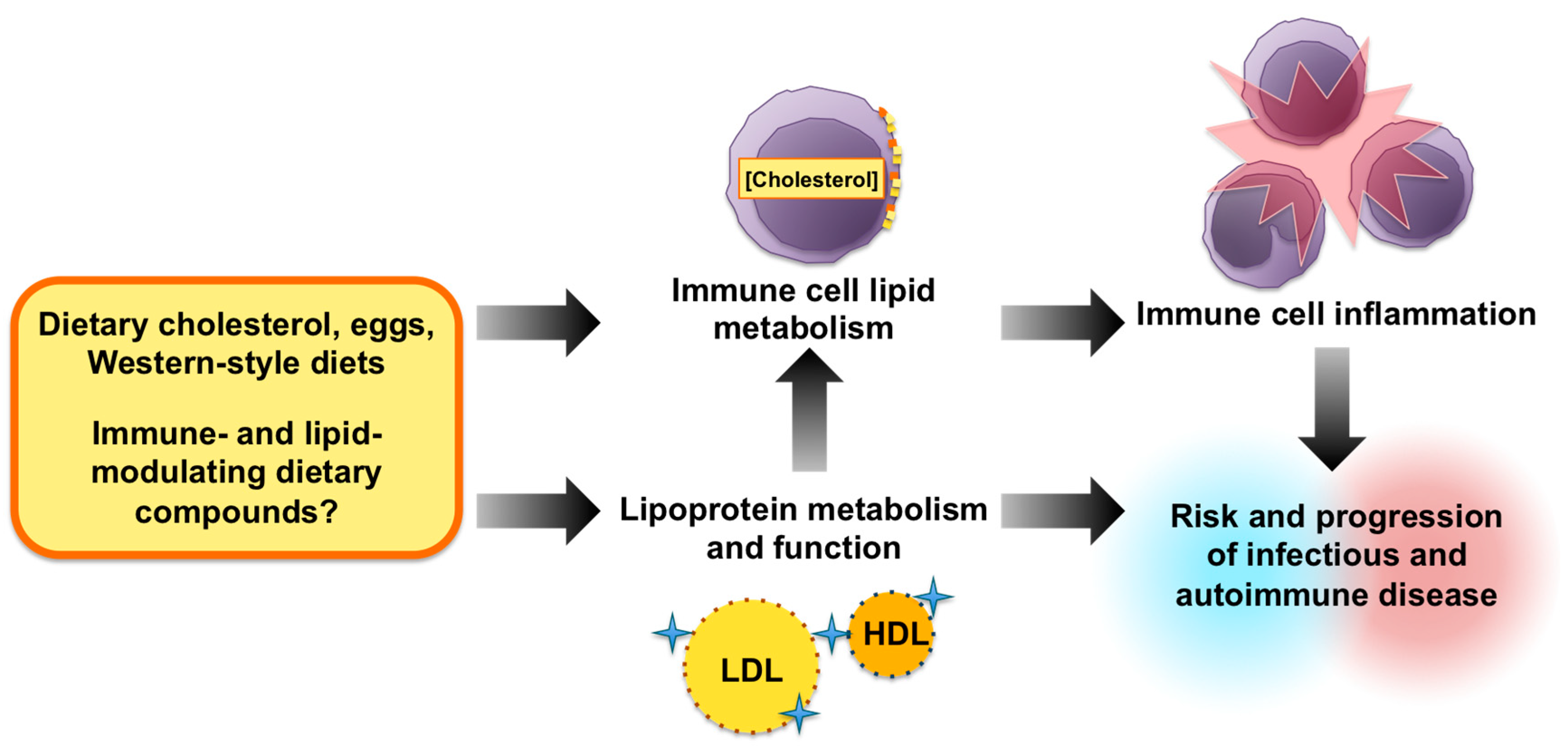 Nutrients 10 00764 g002 Nutrients 10 00764 g002