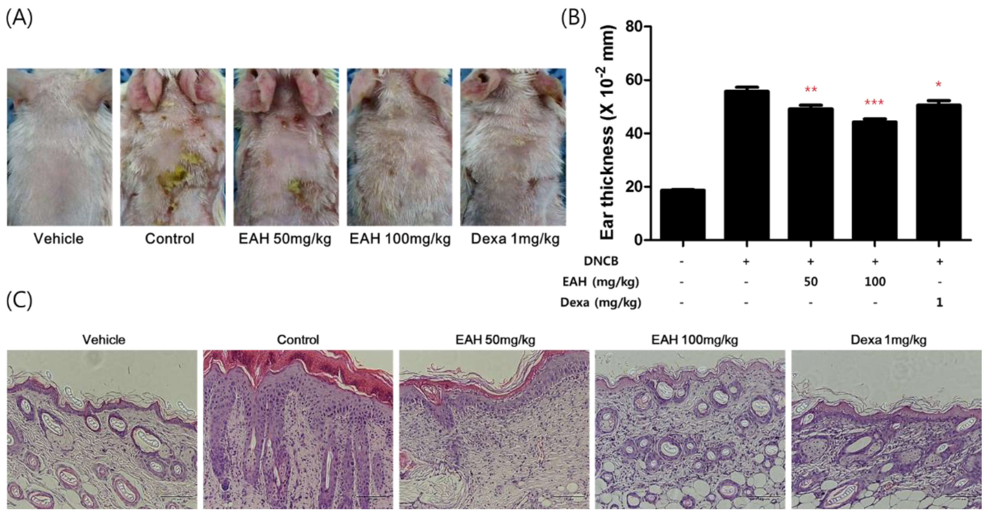 Nutrients 10 00806 g005