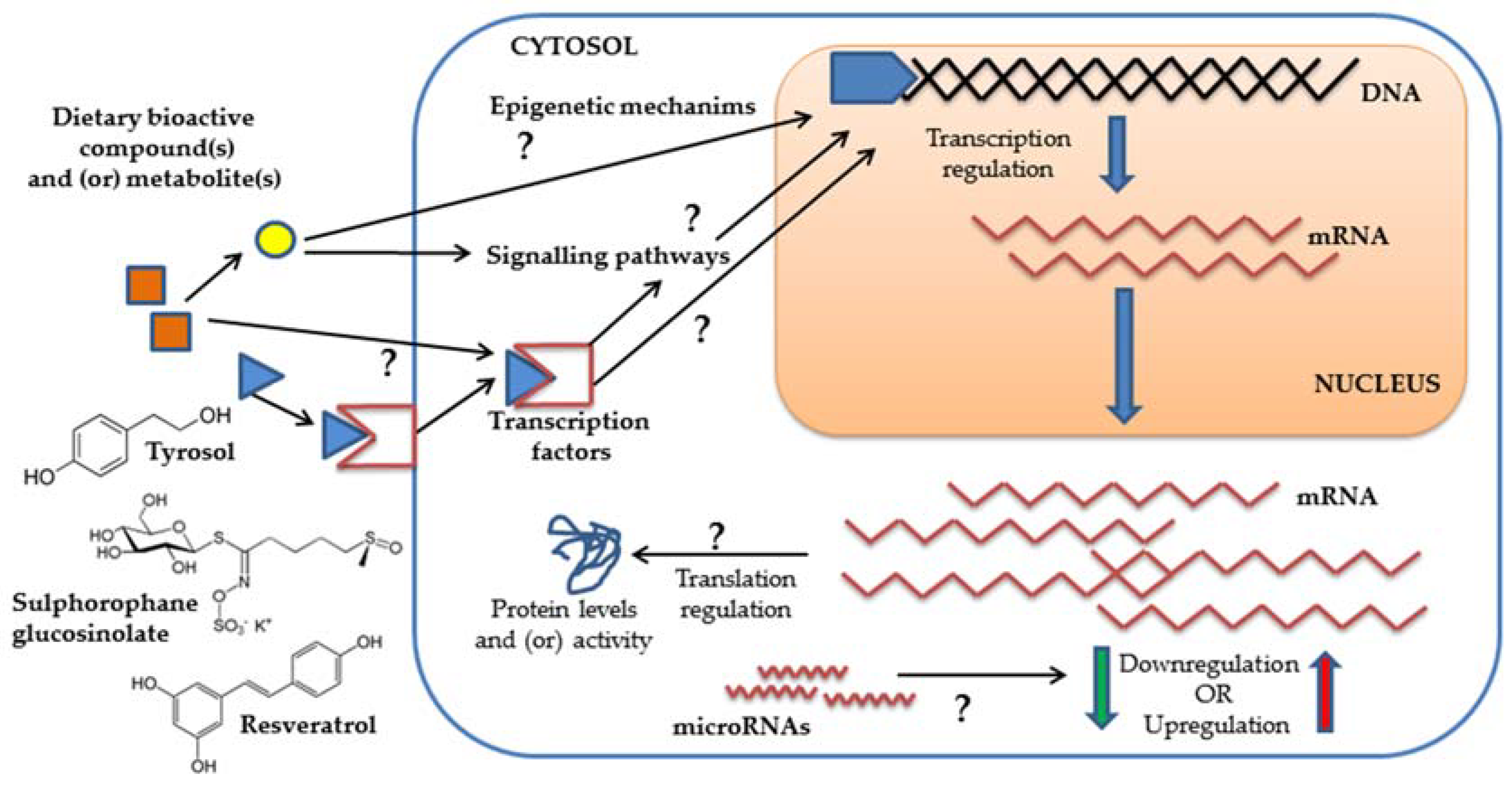 Nutrients 10 00807 g001 Nutrients 10 00807 g001