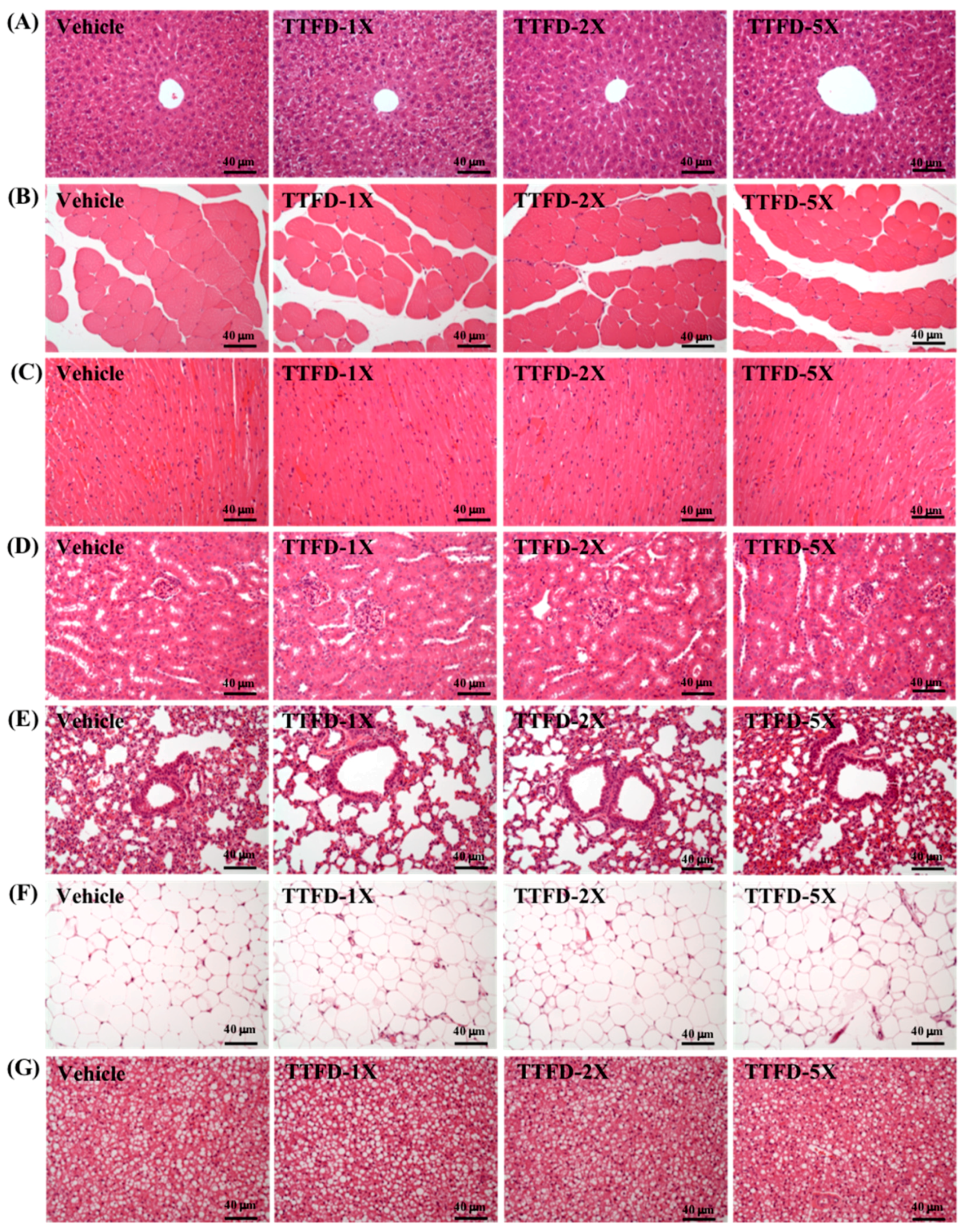 Nutrients 10 00851 g008