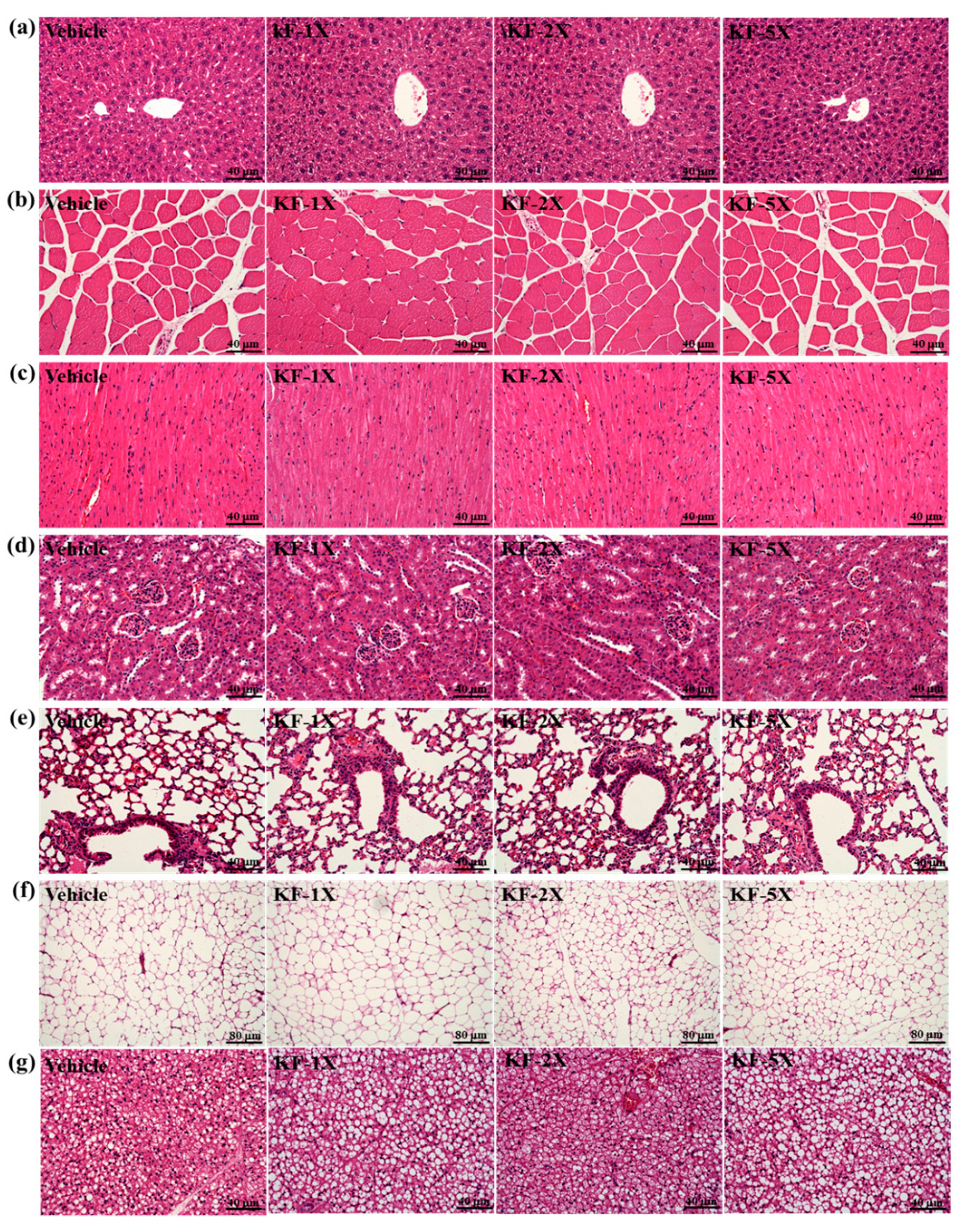 Nutrients 10 00862 g006