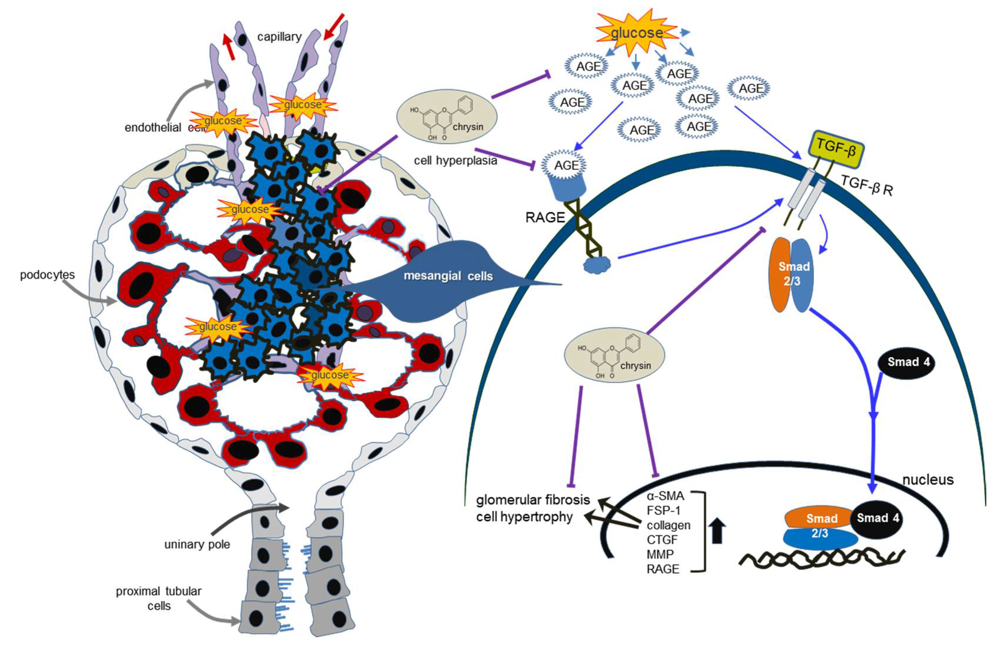 Nutrients 10 00882 g008