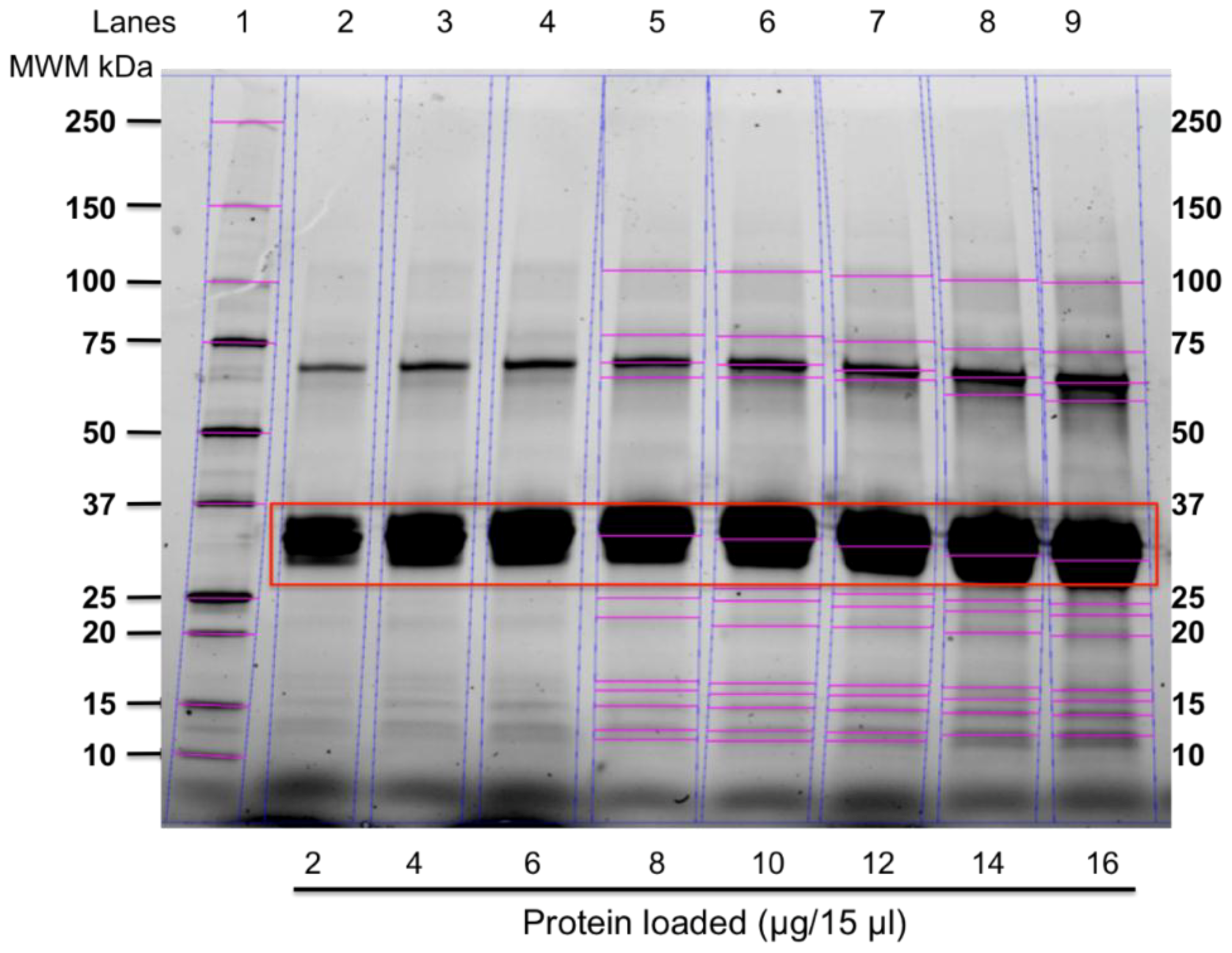 Nutrients 10 00903 g002